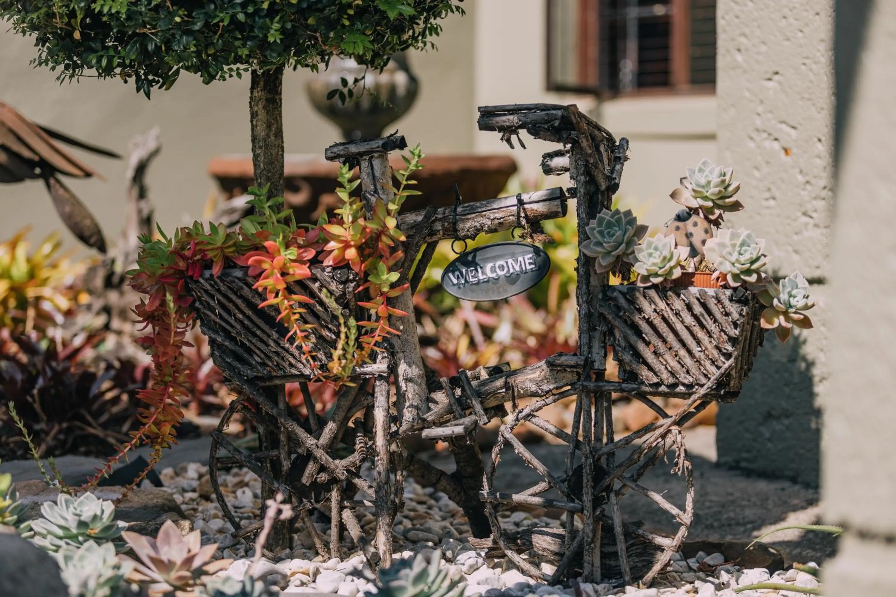 Garden in Beetleloop Guest House