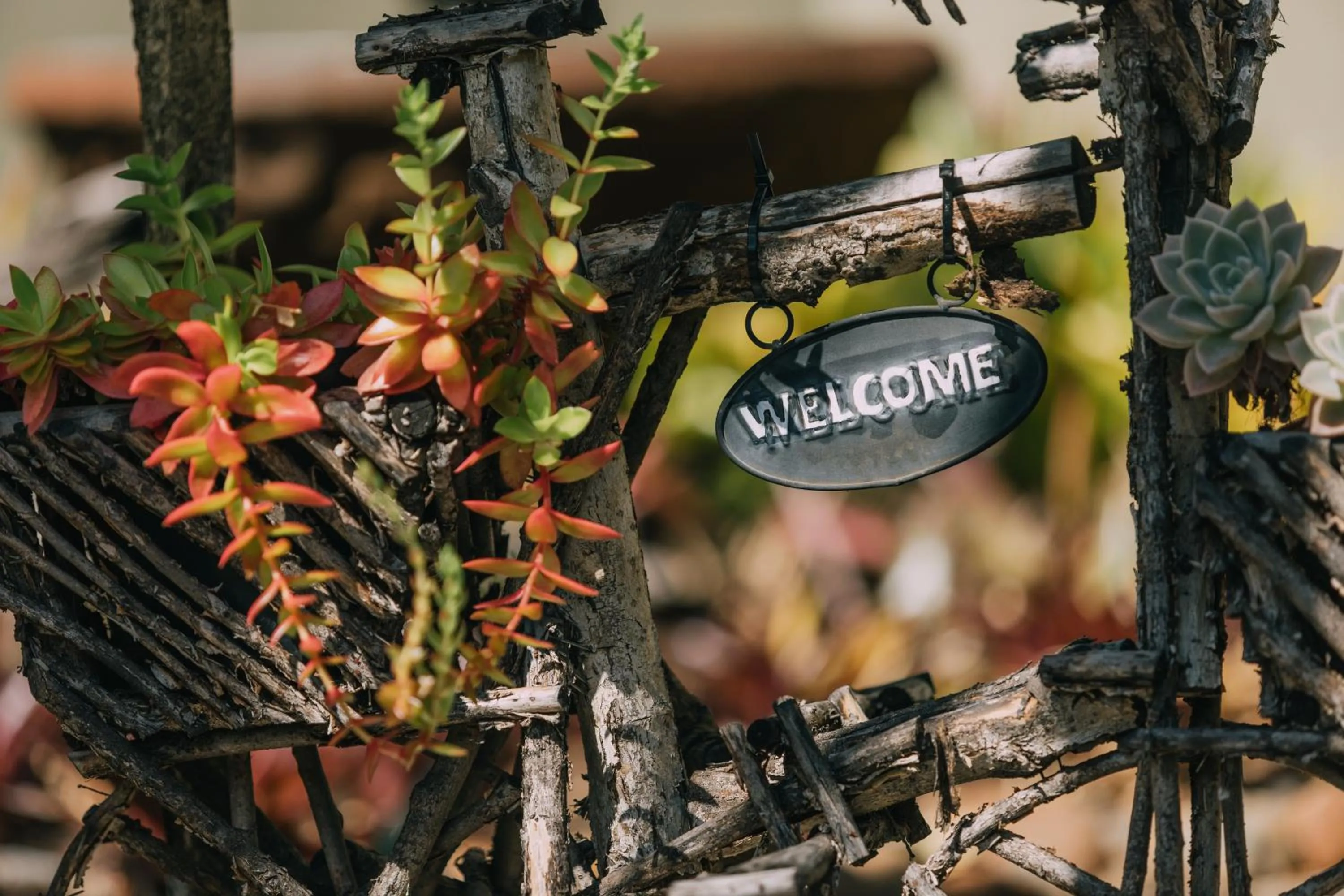 Facade/entrance in Beetleloop Guest House
