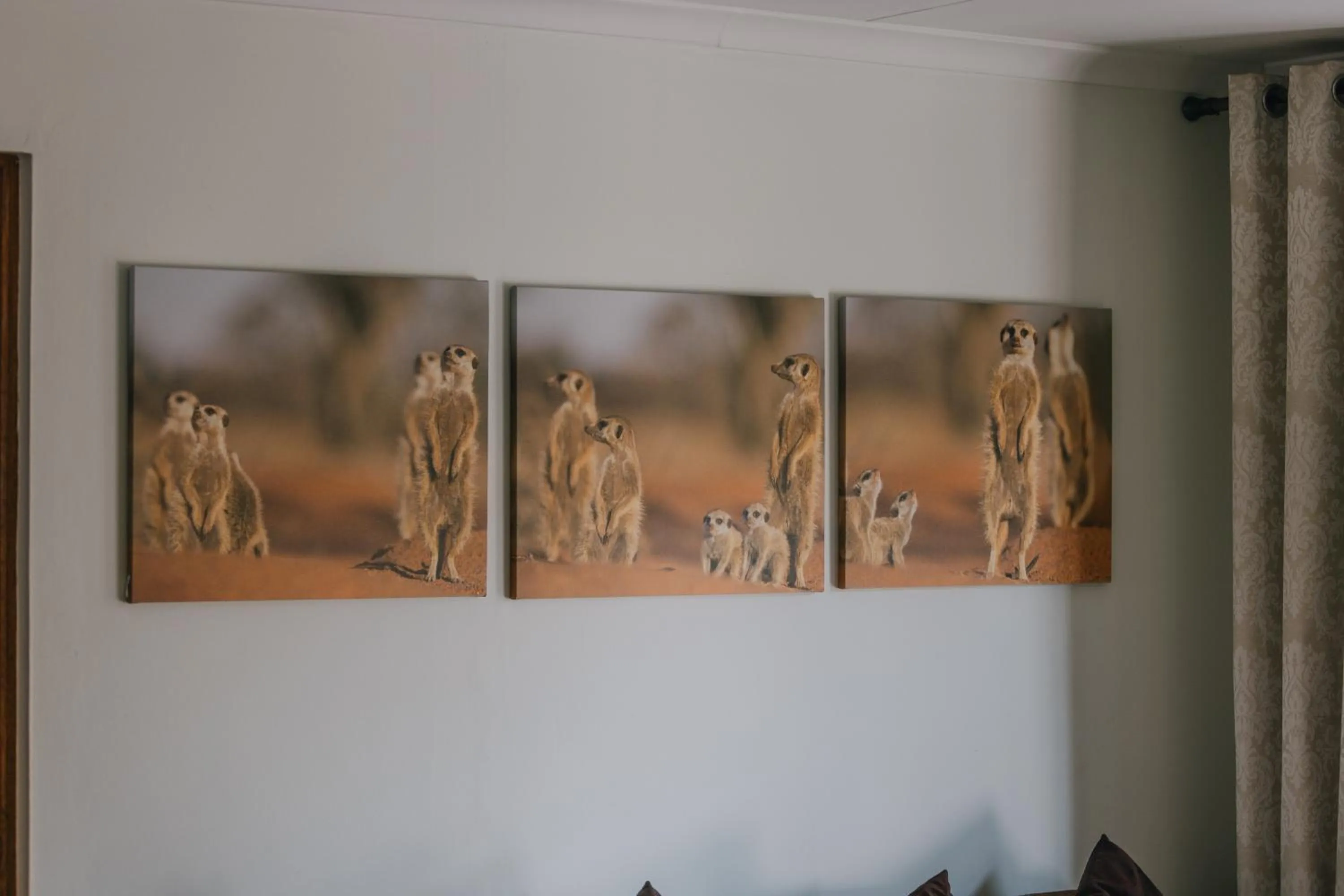 Decorative detail in Beetleloop Guest House