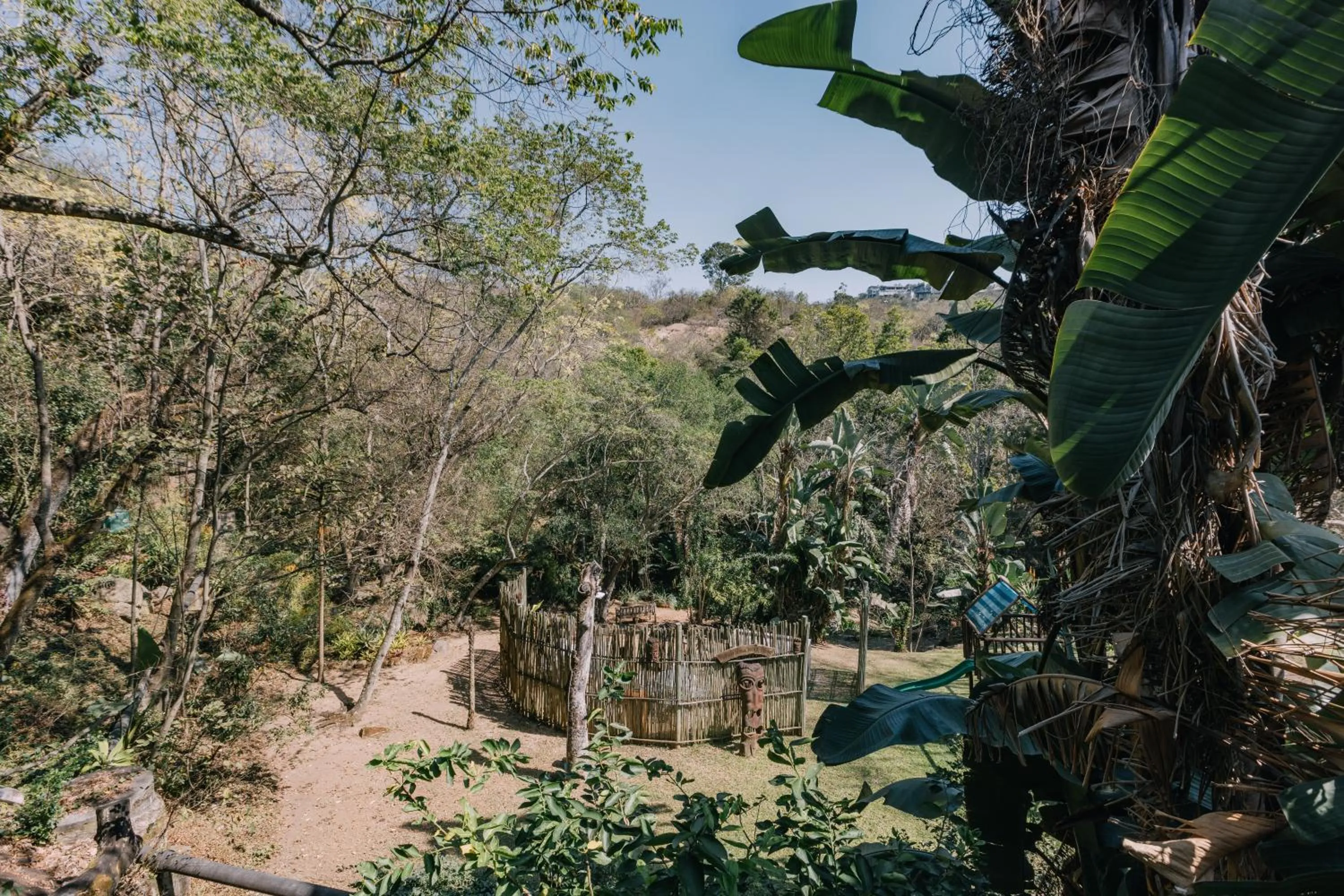 Garden view in Beetleloop Guest House