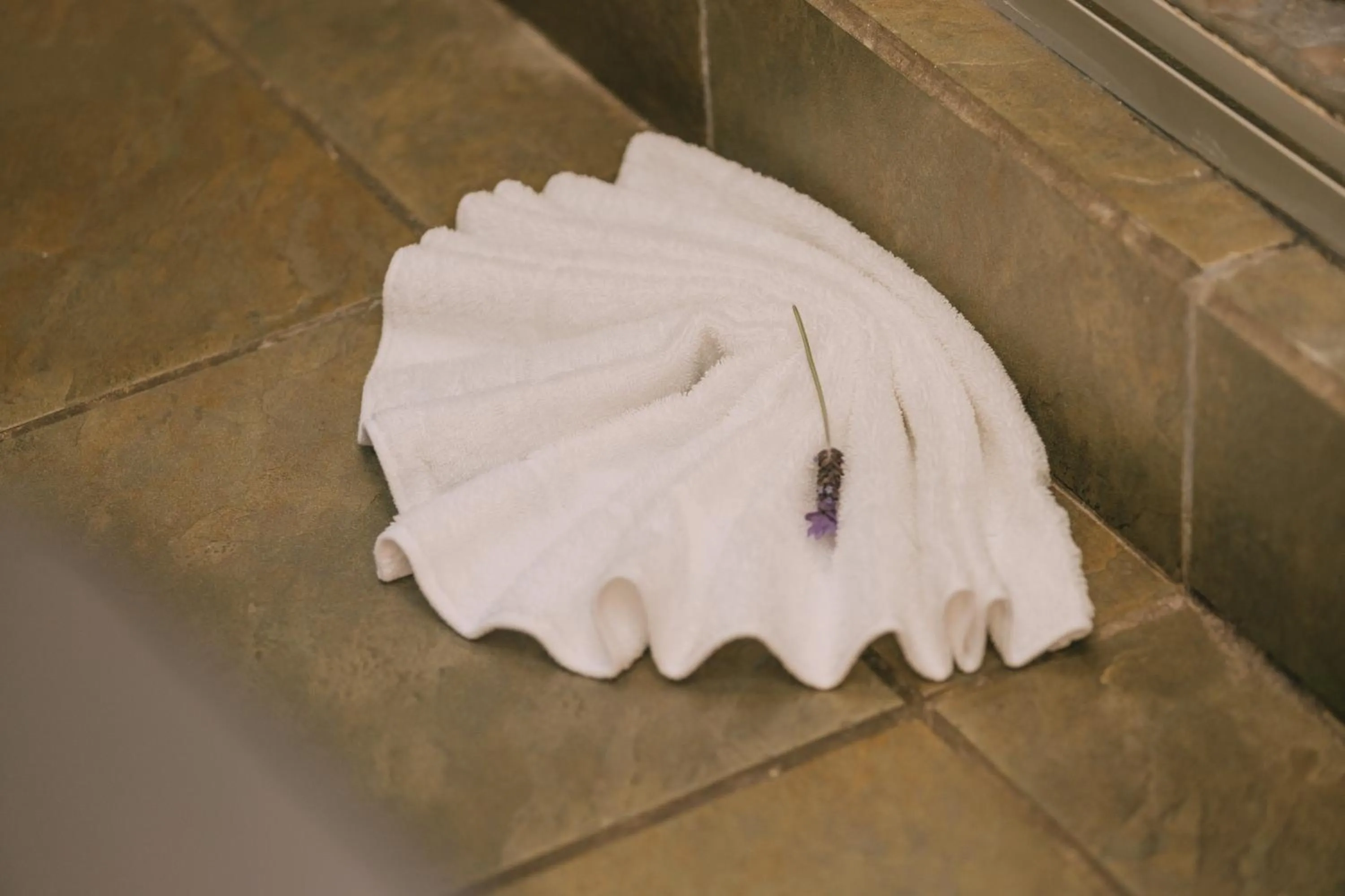 Shower in Beetleloop Guest House