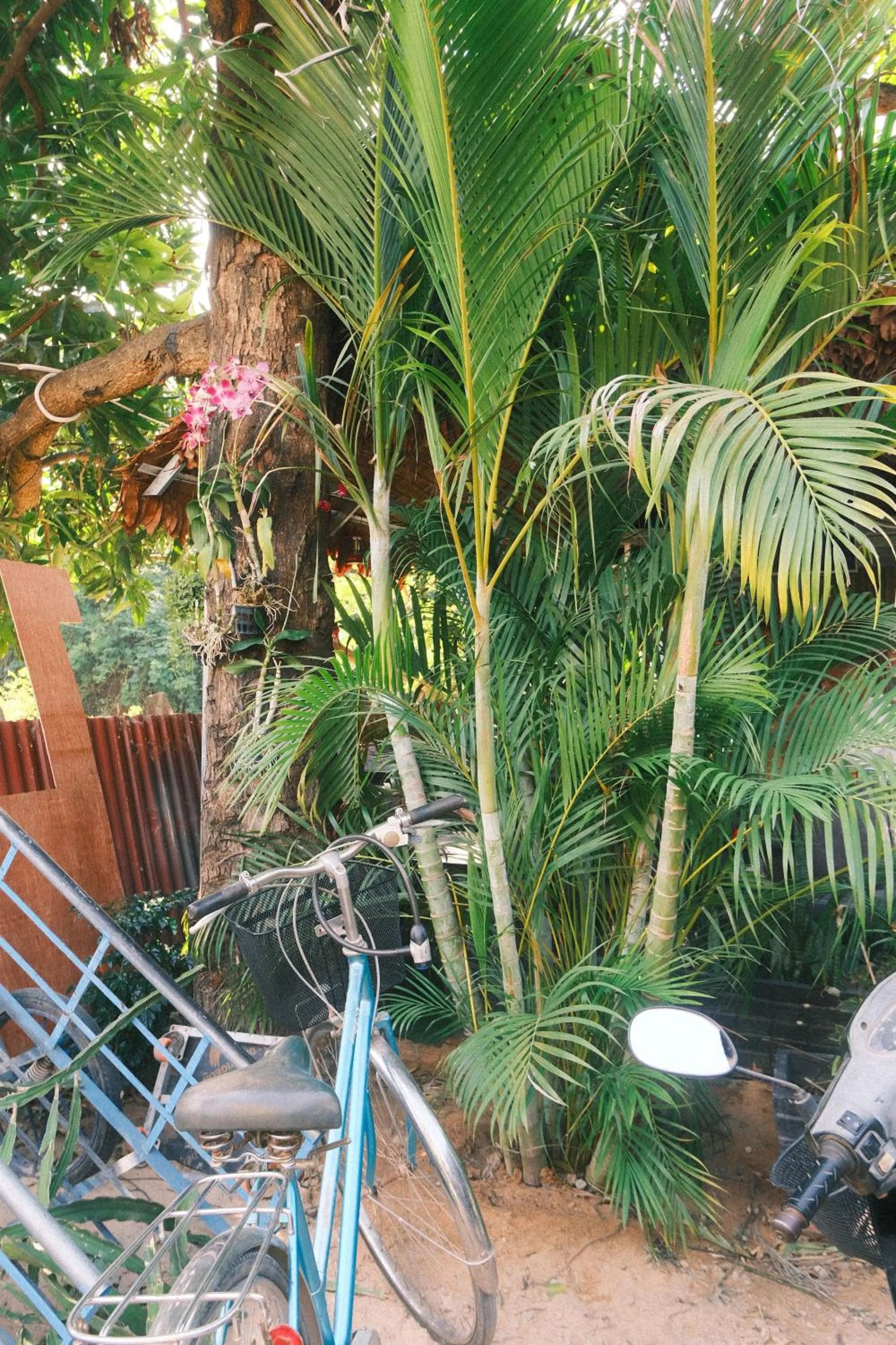 Natural landscape in Siem Reap Homesteading