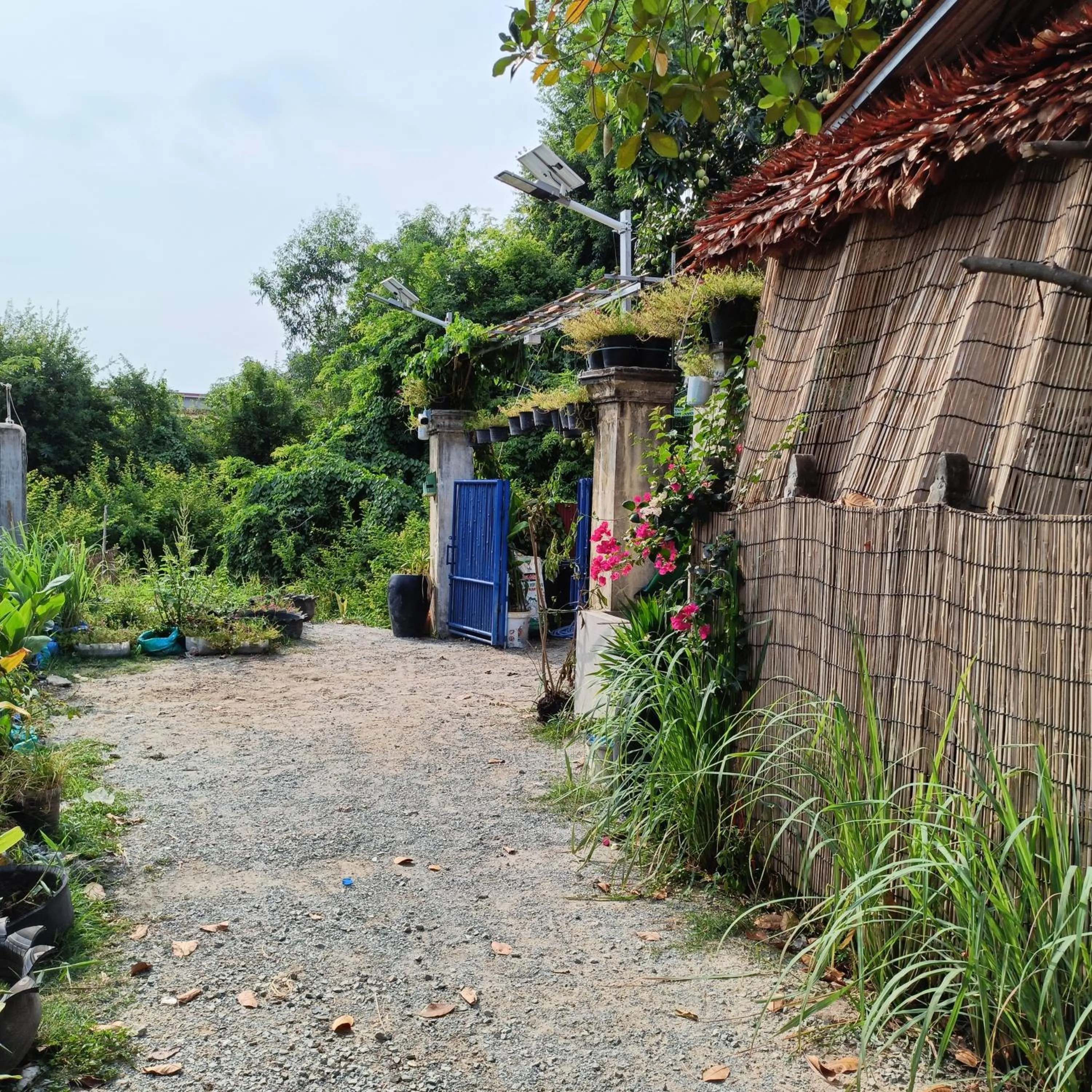 Property building in Siem Reap Homesteading