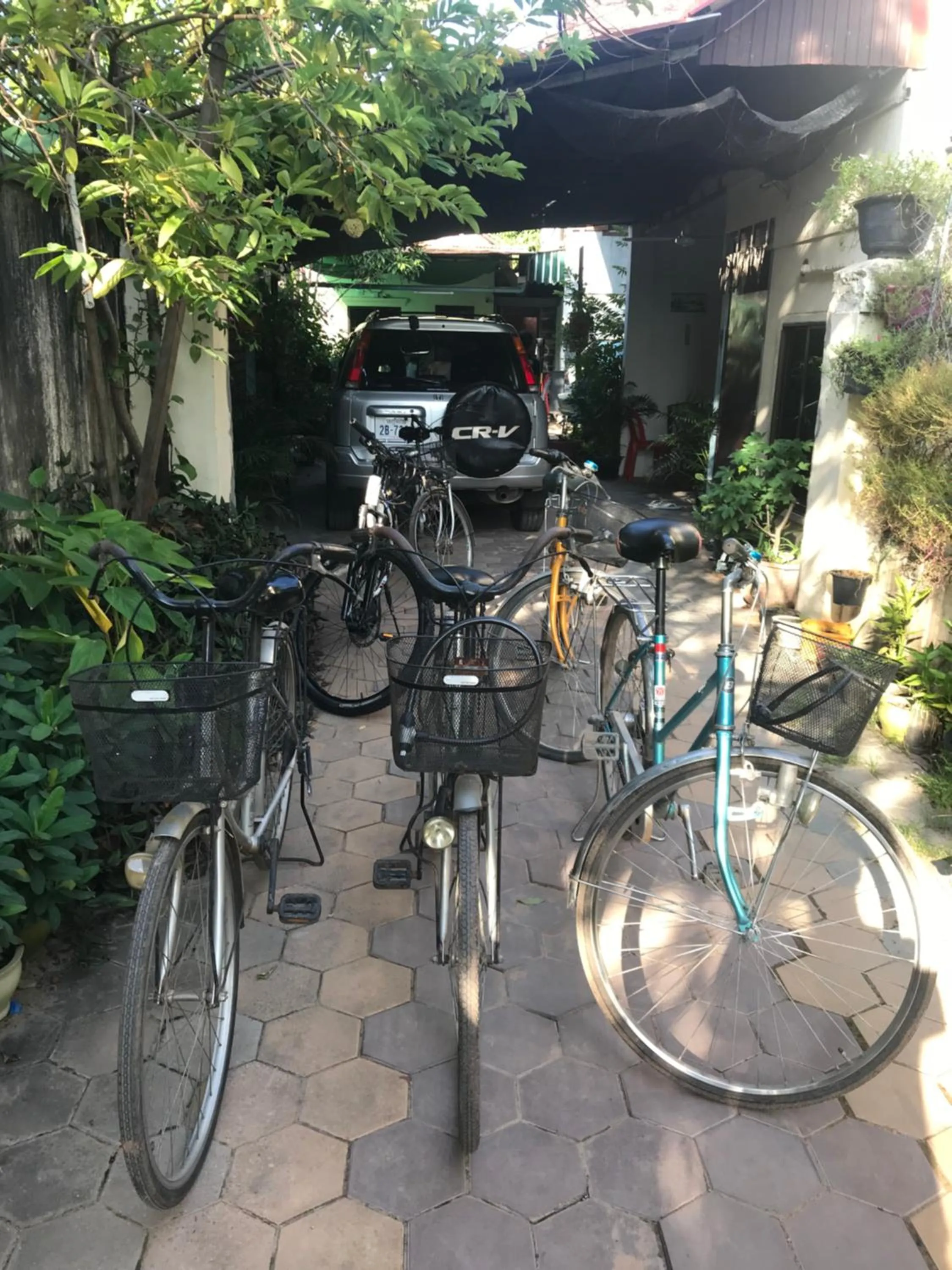 Activities in Siem Reap Homesteading