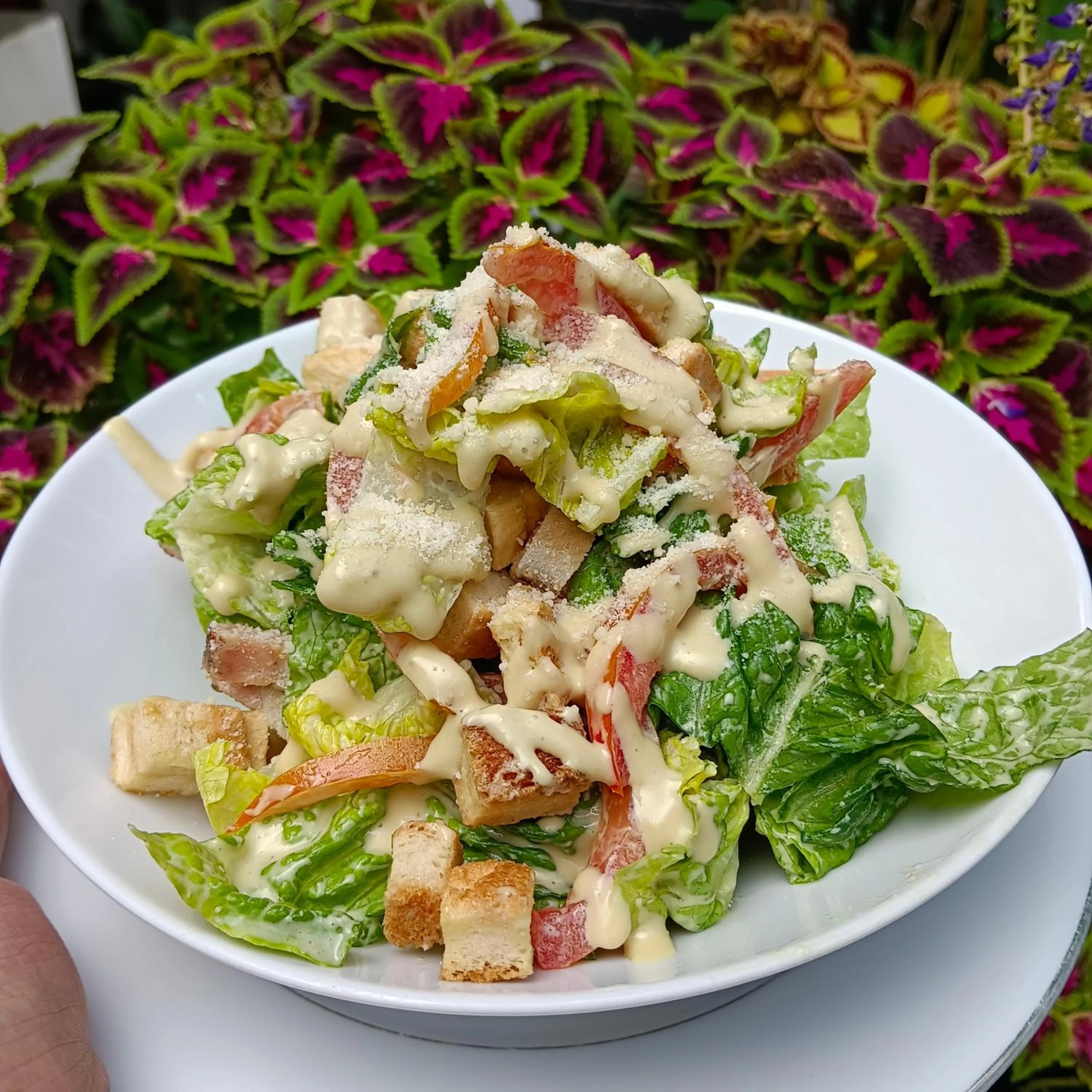 Food and drinks in Villas by Eco Hotels