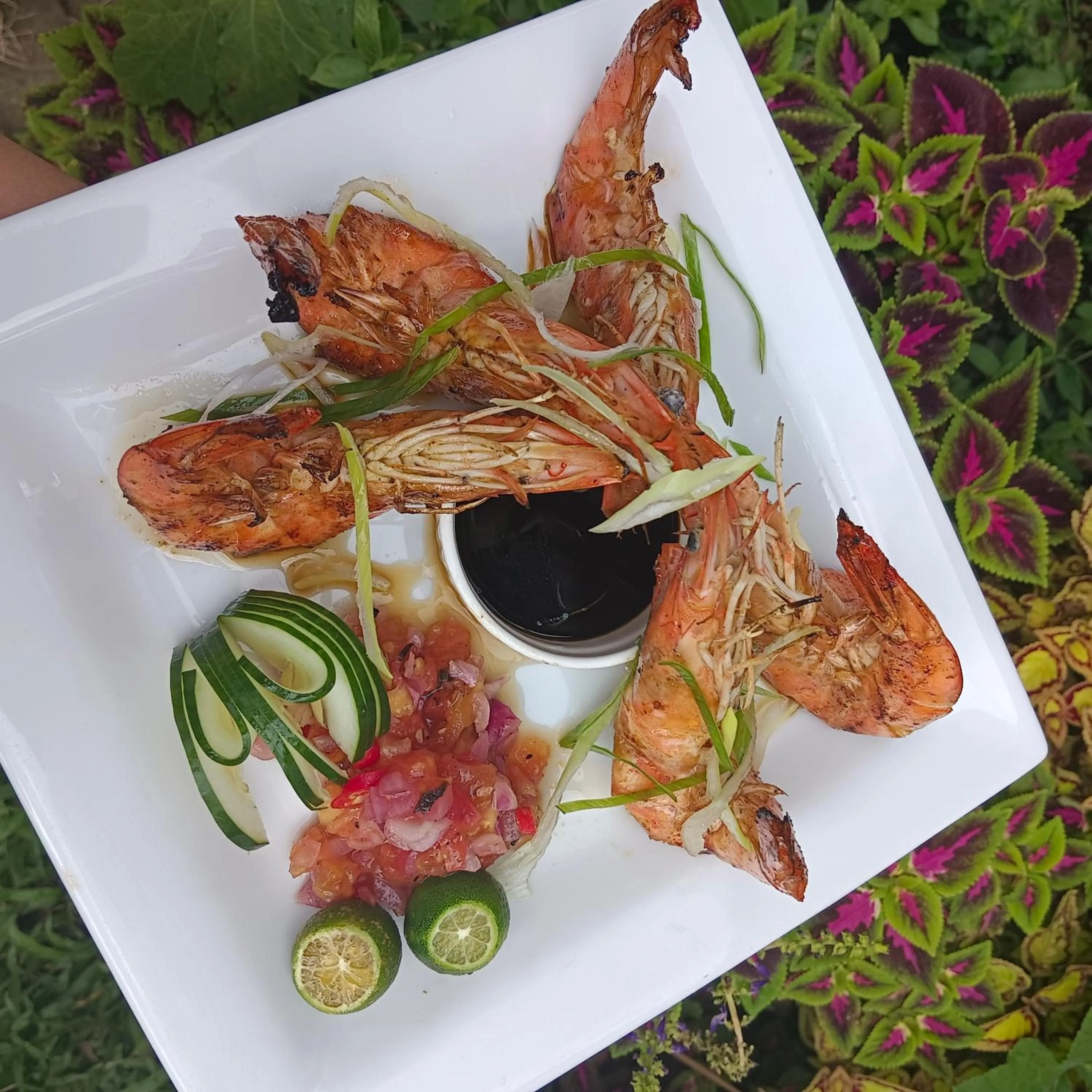 Food and drinks in Villas by Eco Hotels