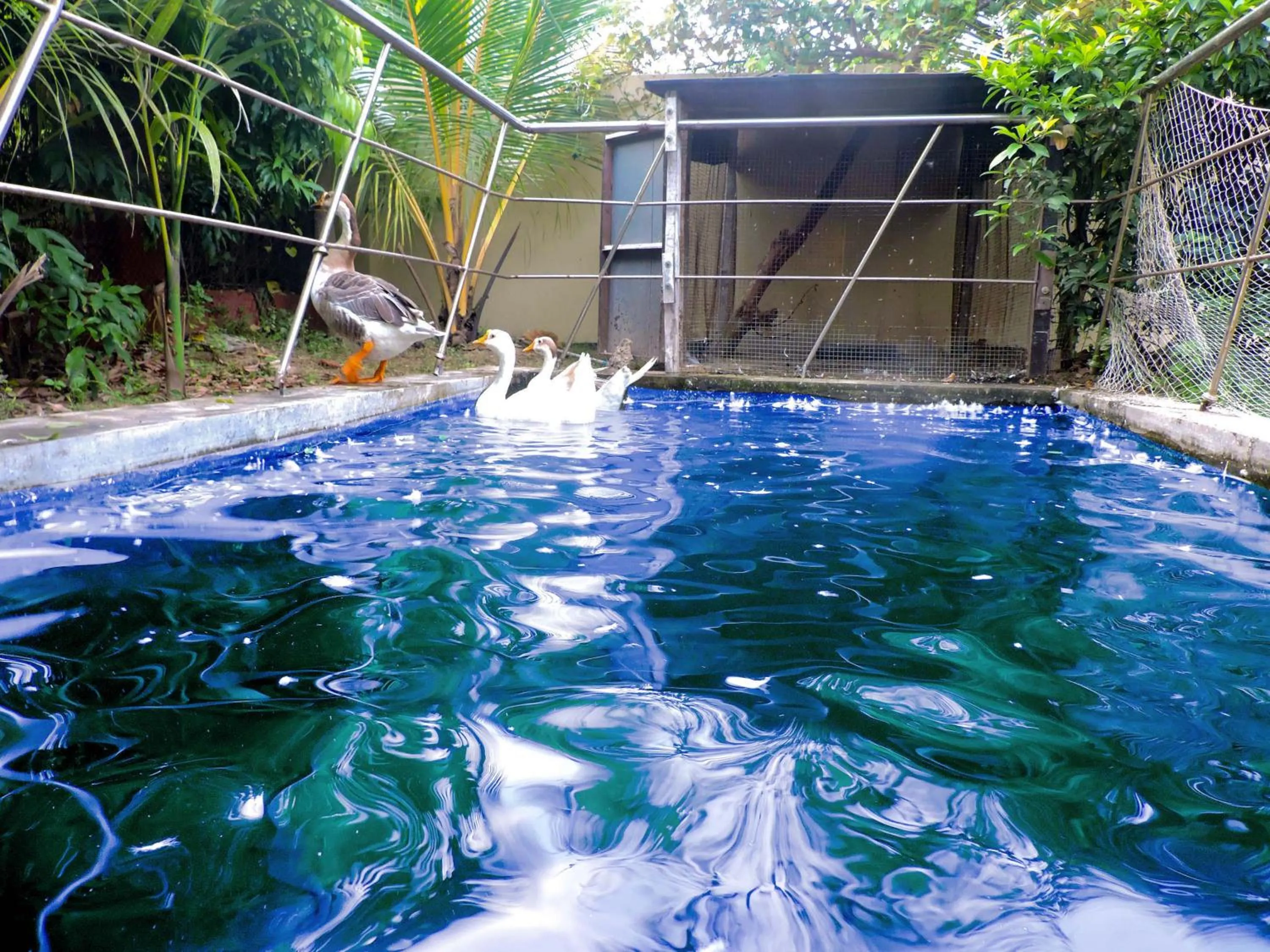 Garden in Le Roi Digha
