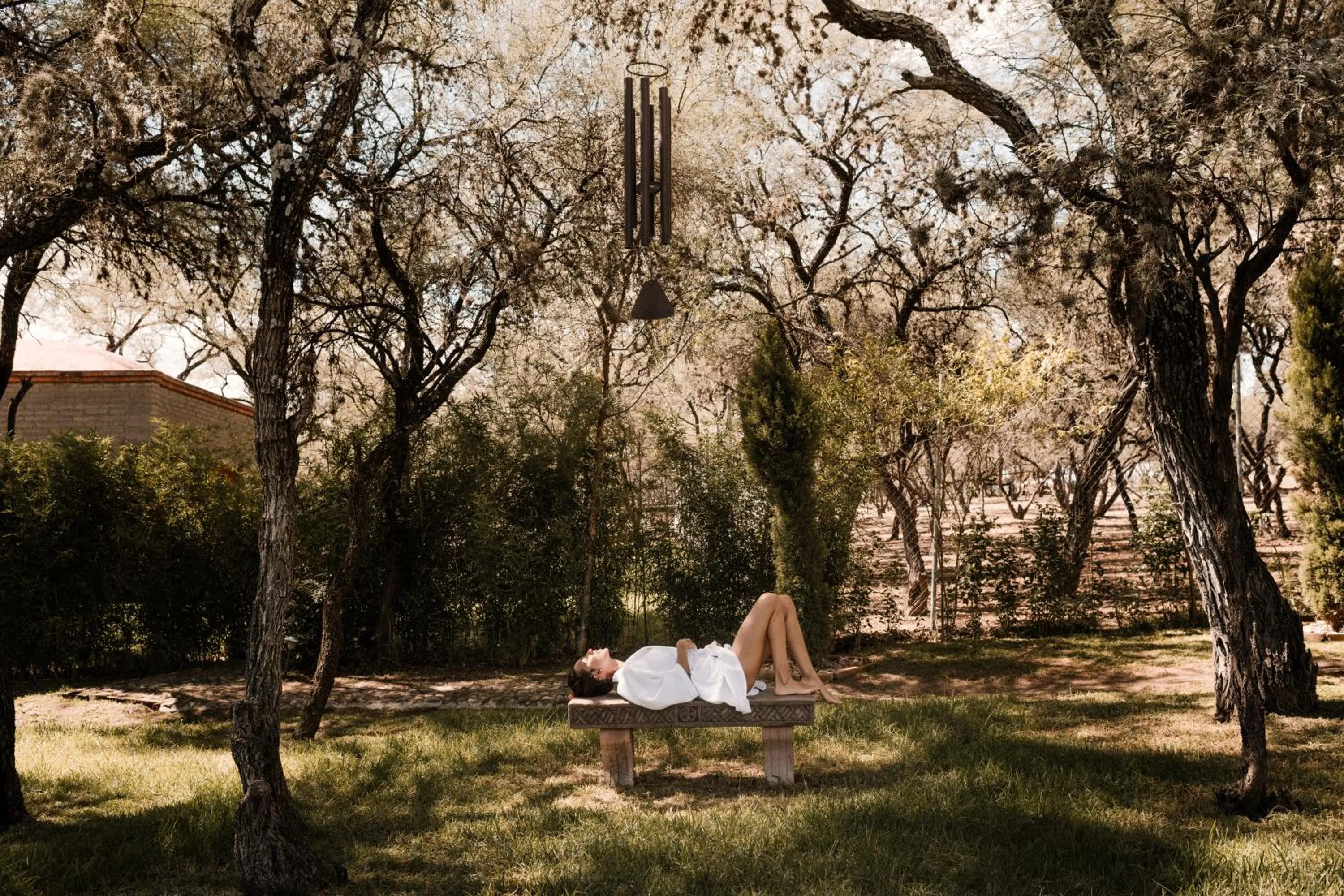 Natural landscape in Hacienda Sepulveda Hotel & Spa