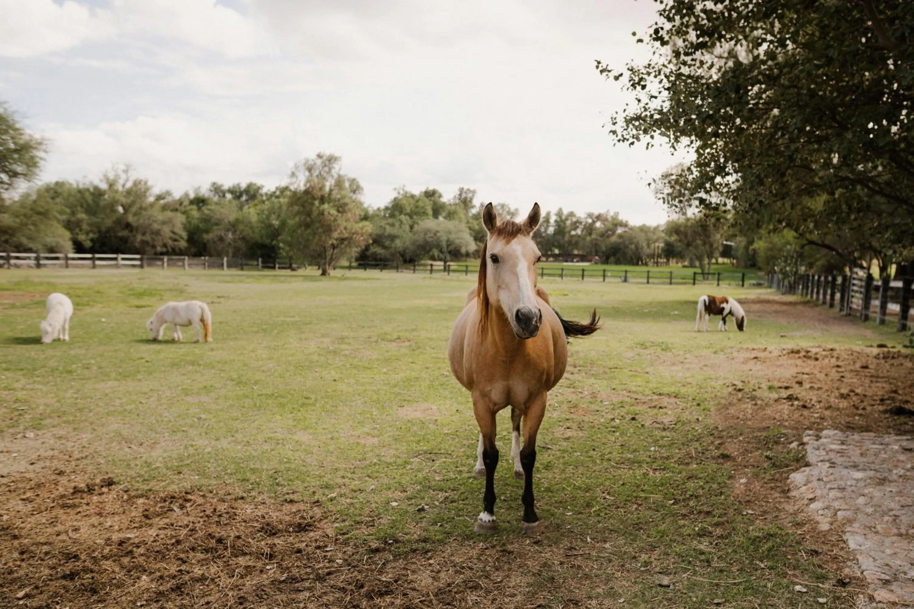 Day in Hacienda Sepulveda Hotel & Spa