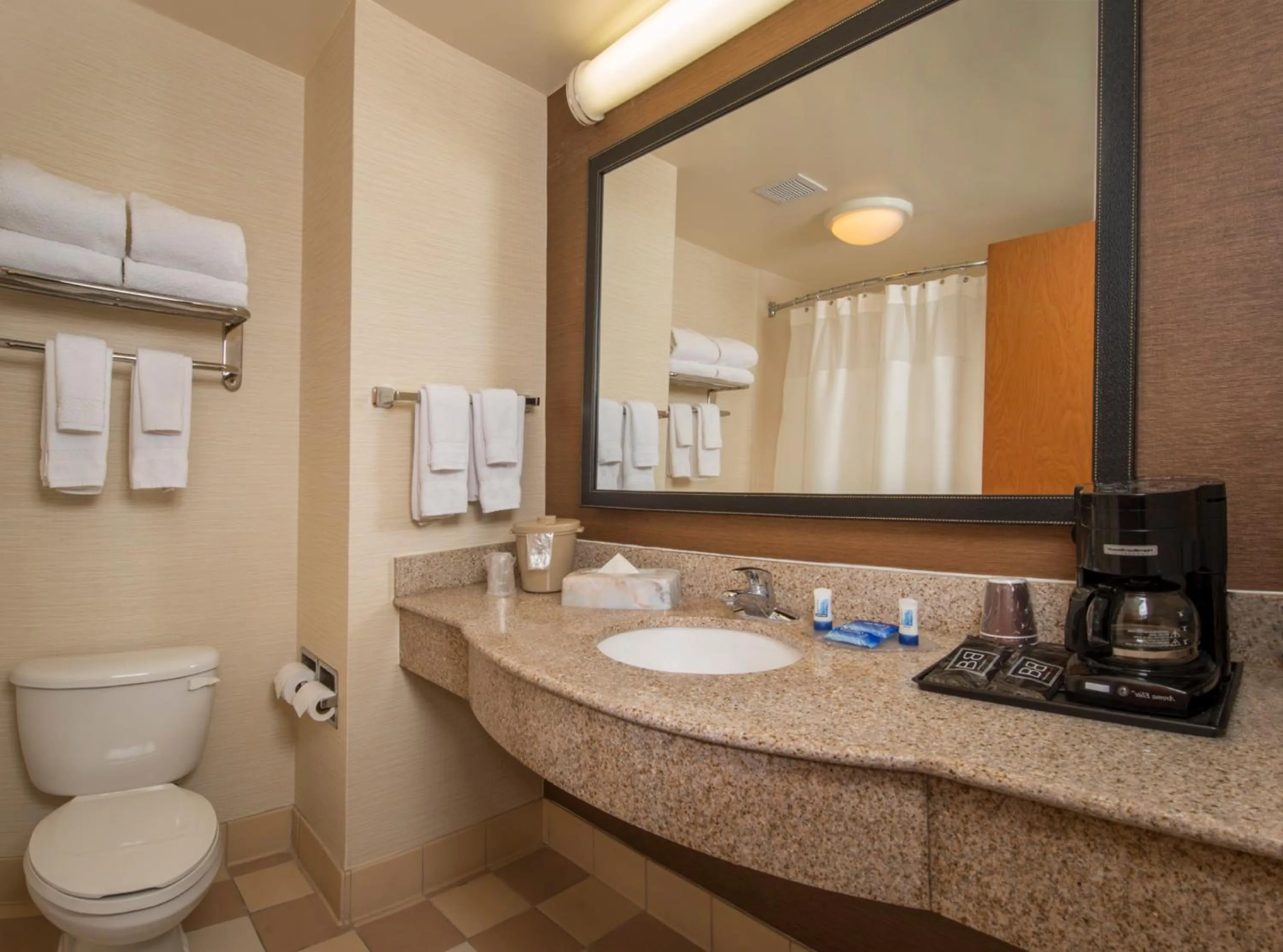 Bathroom in Fairfield Inn & Suites by Marriott Williamsburg