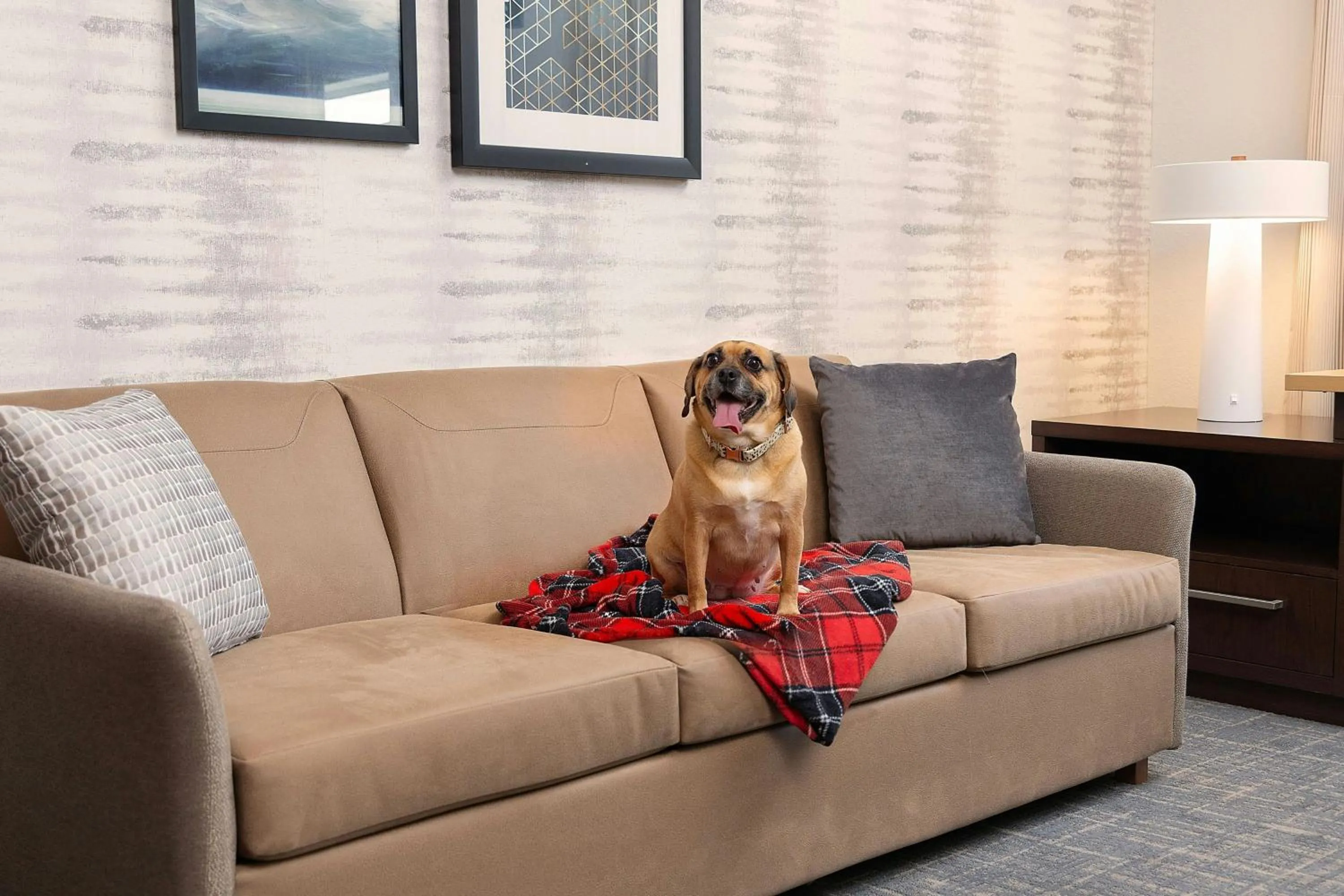 Other in Residence Inn Rochester Henrietta