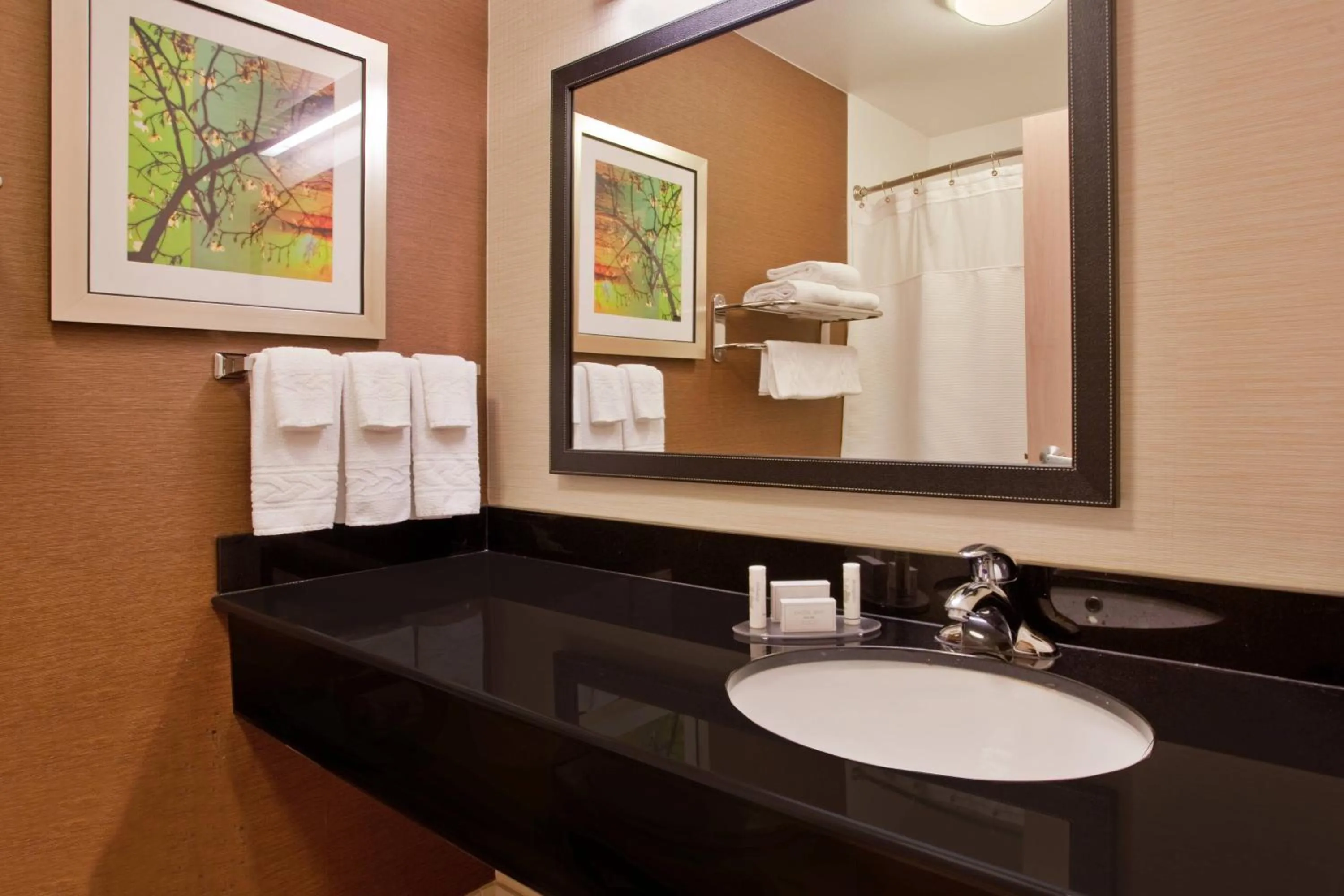 Bathroom in Fairfield Inn & Suites by Marriott San Antonio Downtown/Market Square