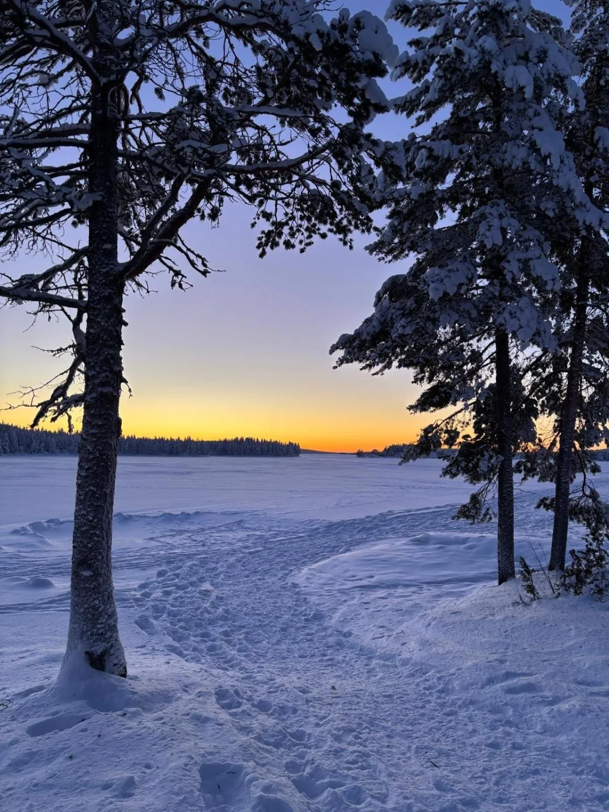 Arctic Lodge Hetan Kota