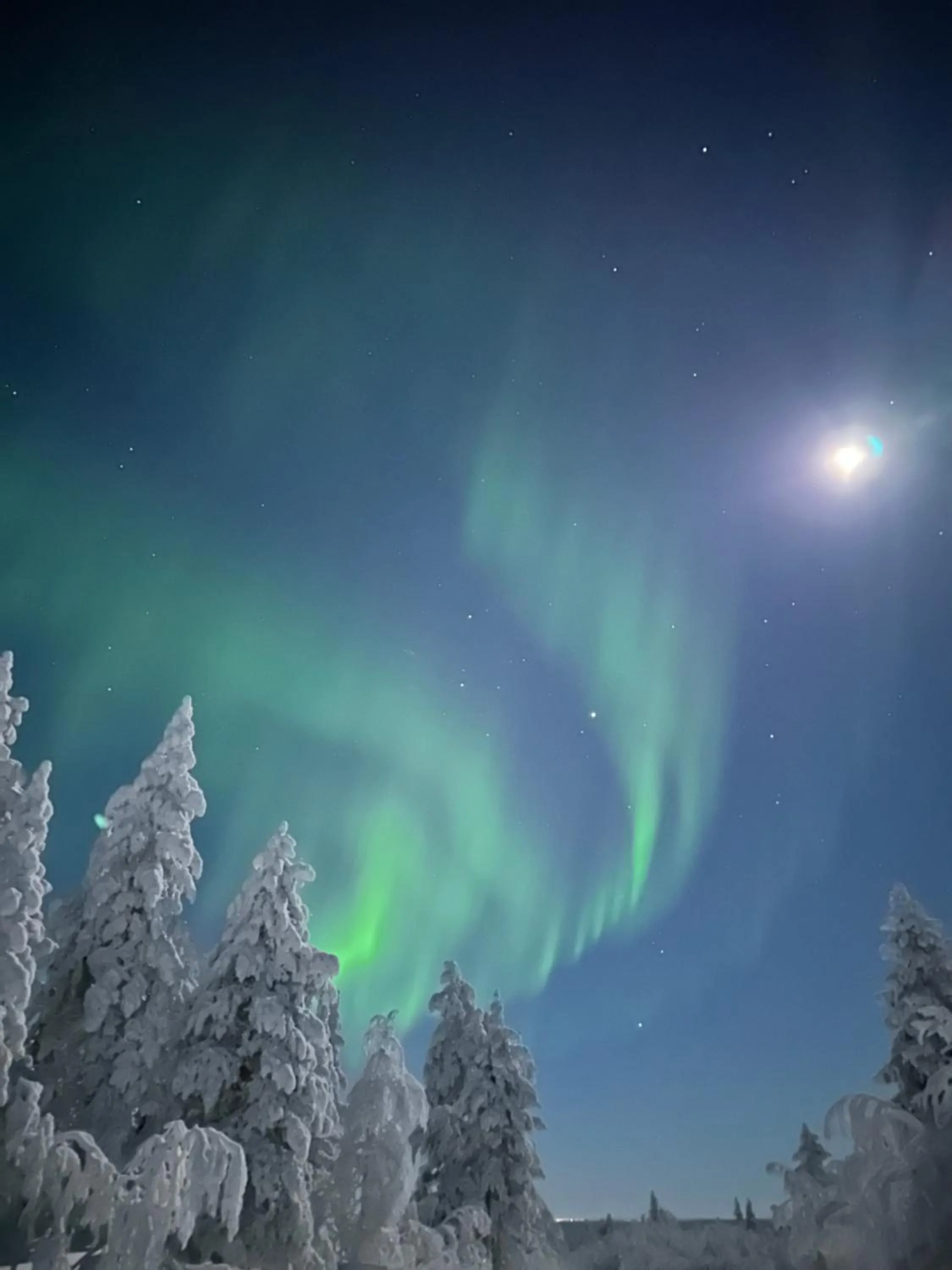 Arctic Lodge Hetan Kota