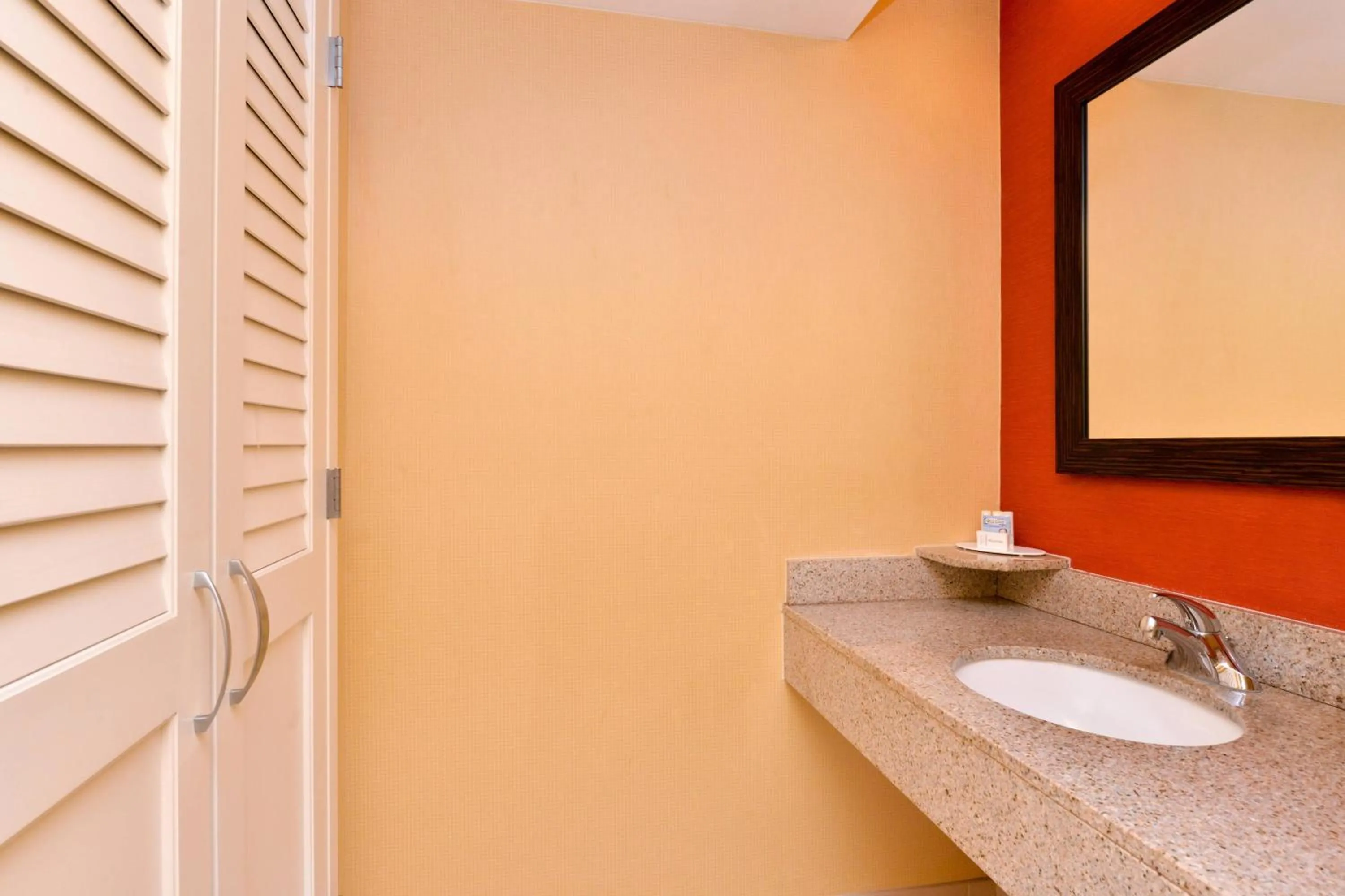 Bathroom in Courtyard Tampa North / I-75 Fletcher