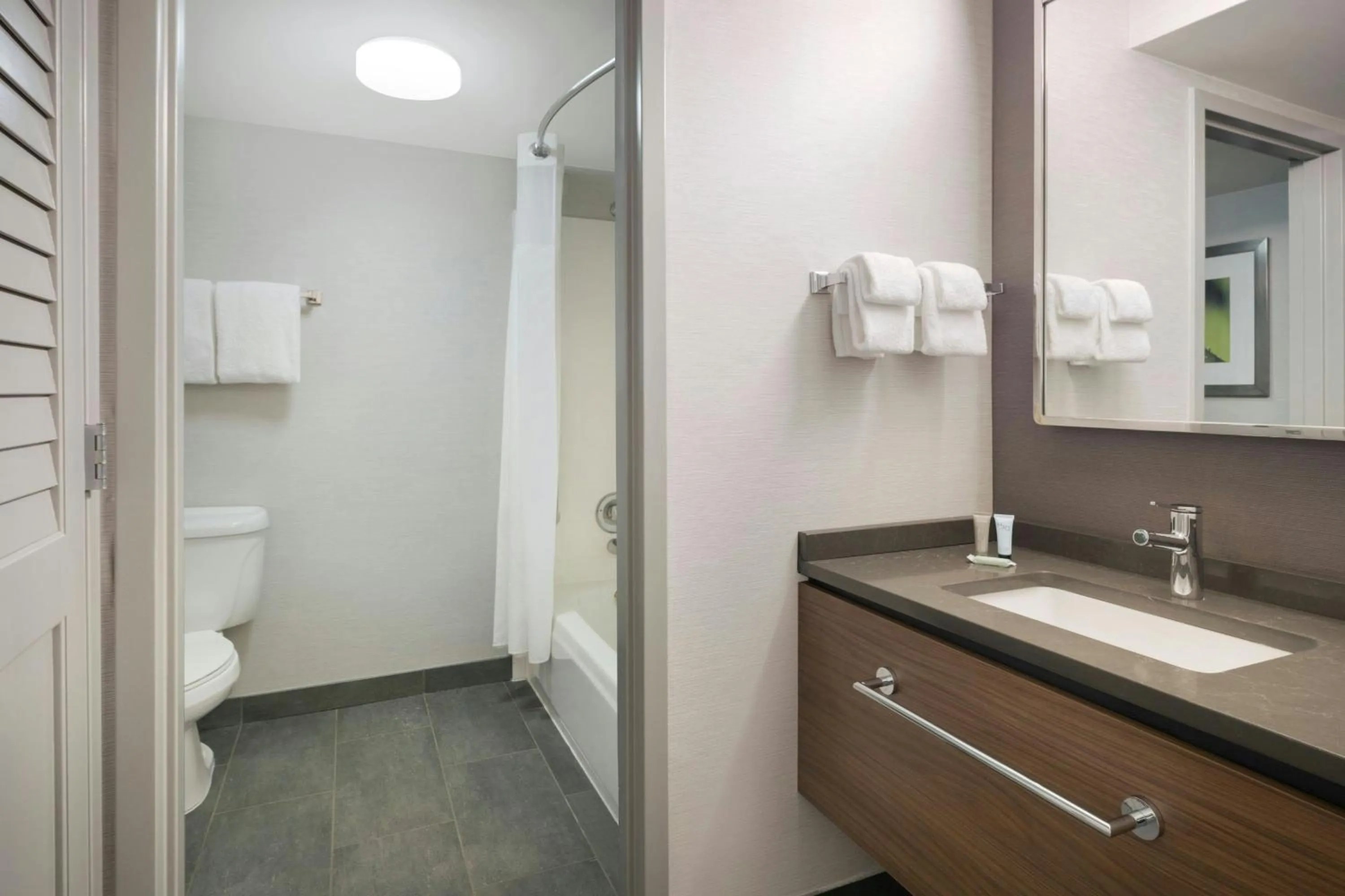 Bathroom in Courtyard Tampa North / I-75 Fletcher