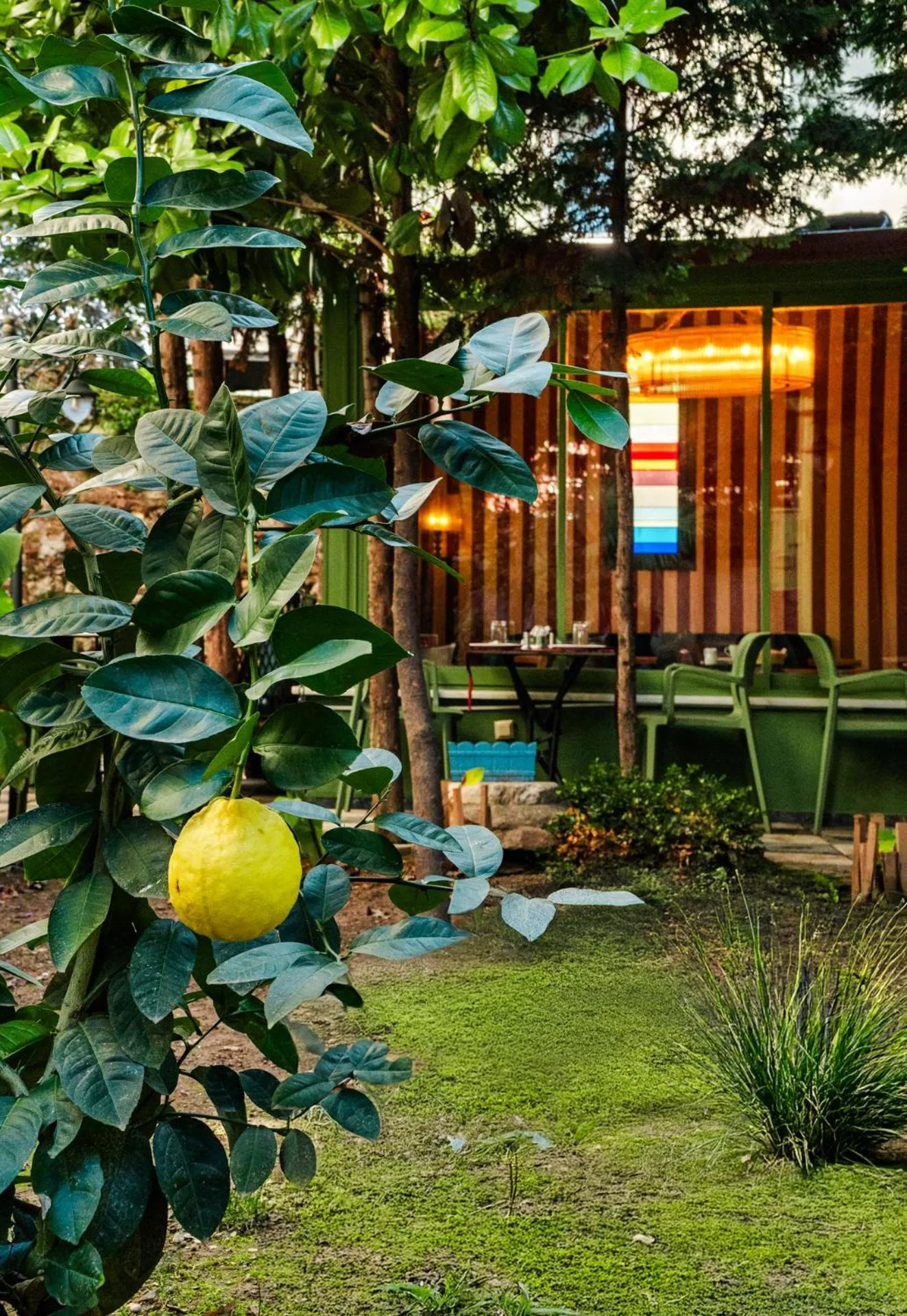 Garden in Sublime Porte Hotel