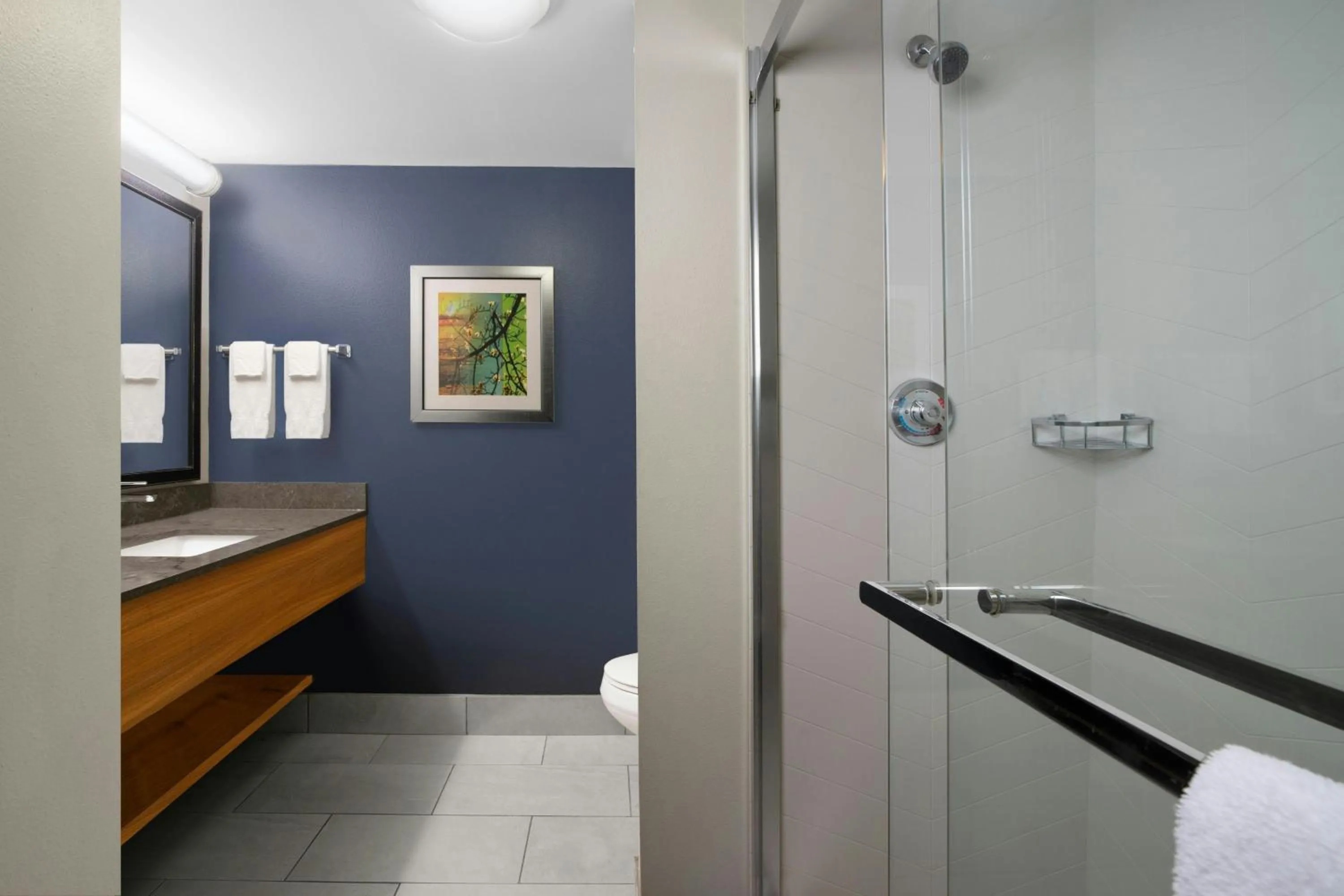 Bathroom in Fairfield Inn & Suites by Marriott Waco North
