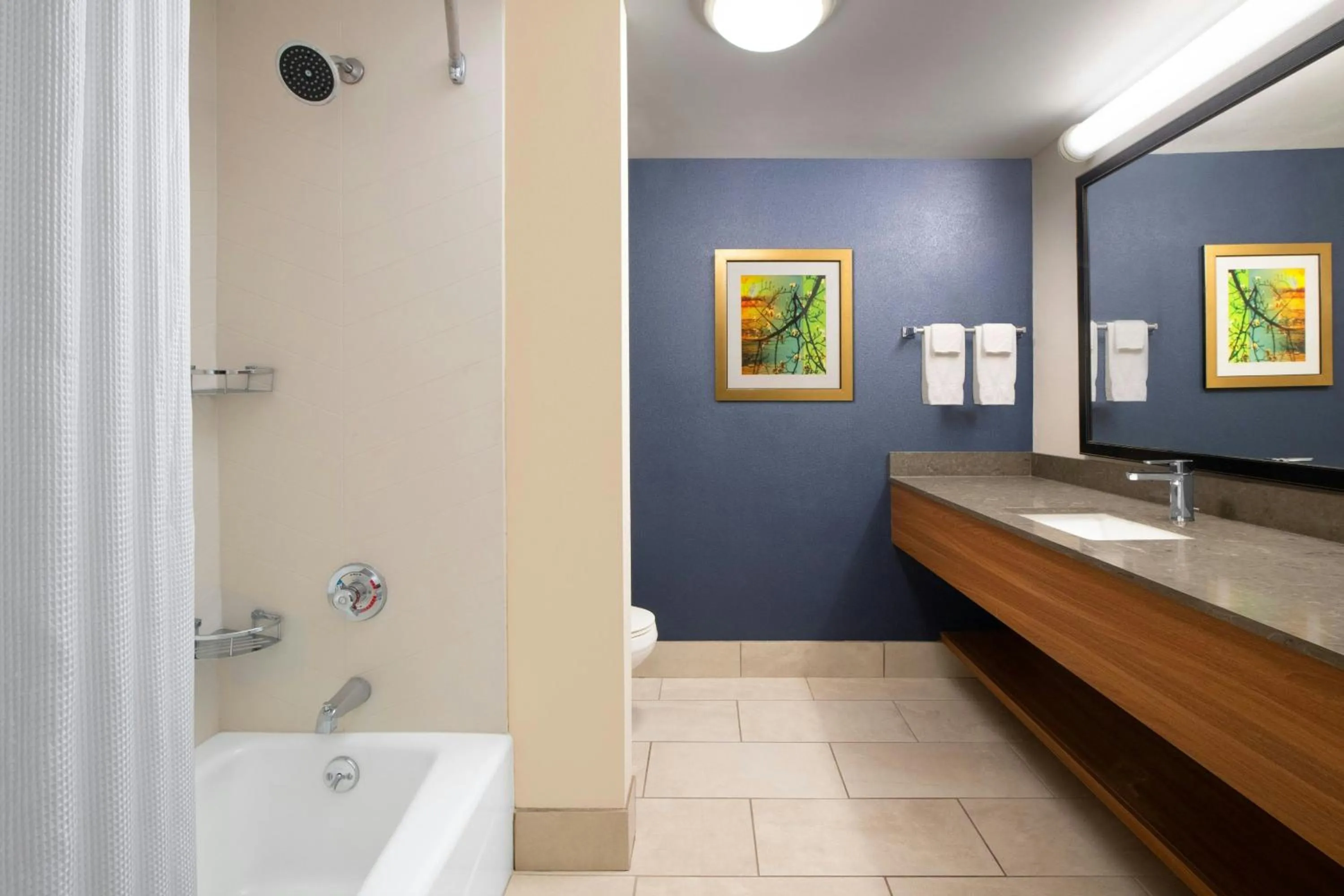 Bathroom in Fairfield Inn & Suites by Marriott Waco North