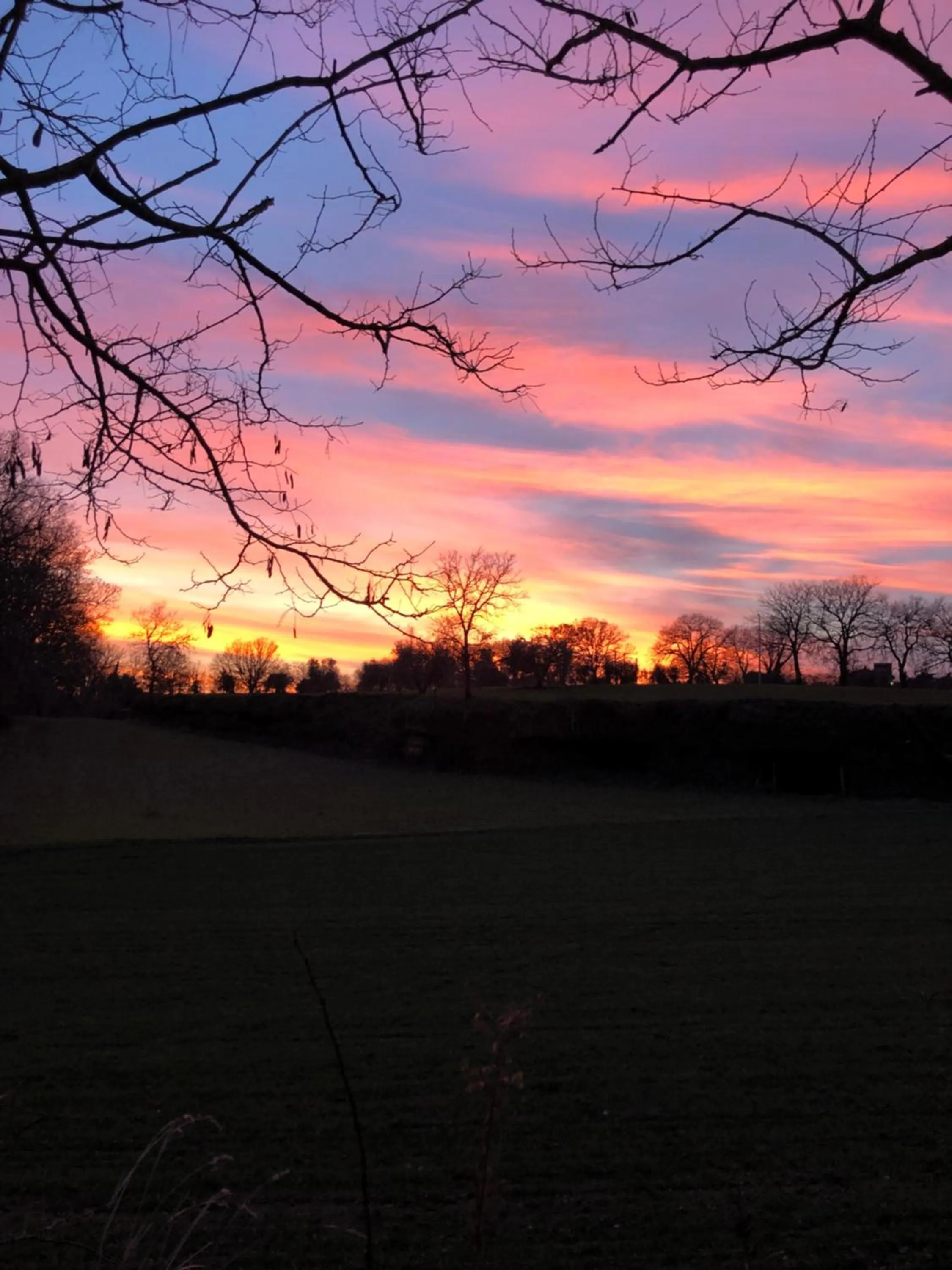 Natural landscape in L'antico Molino
