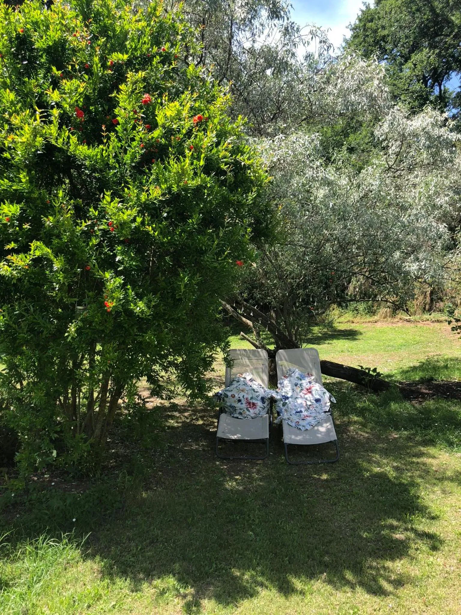Garden in L'antico Molino