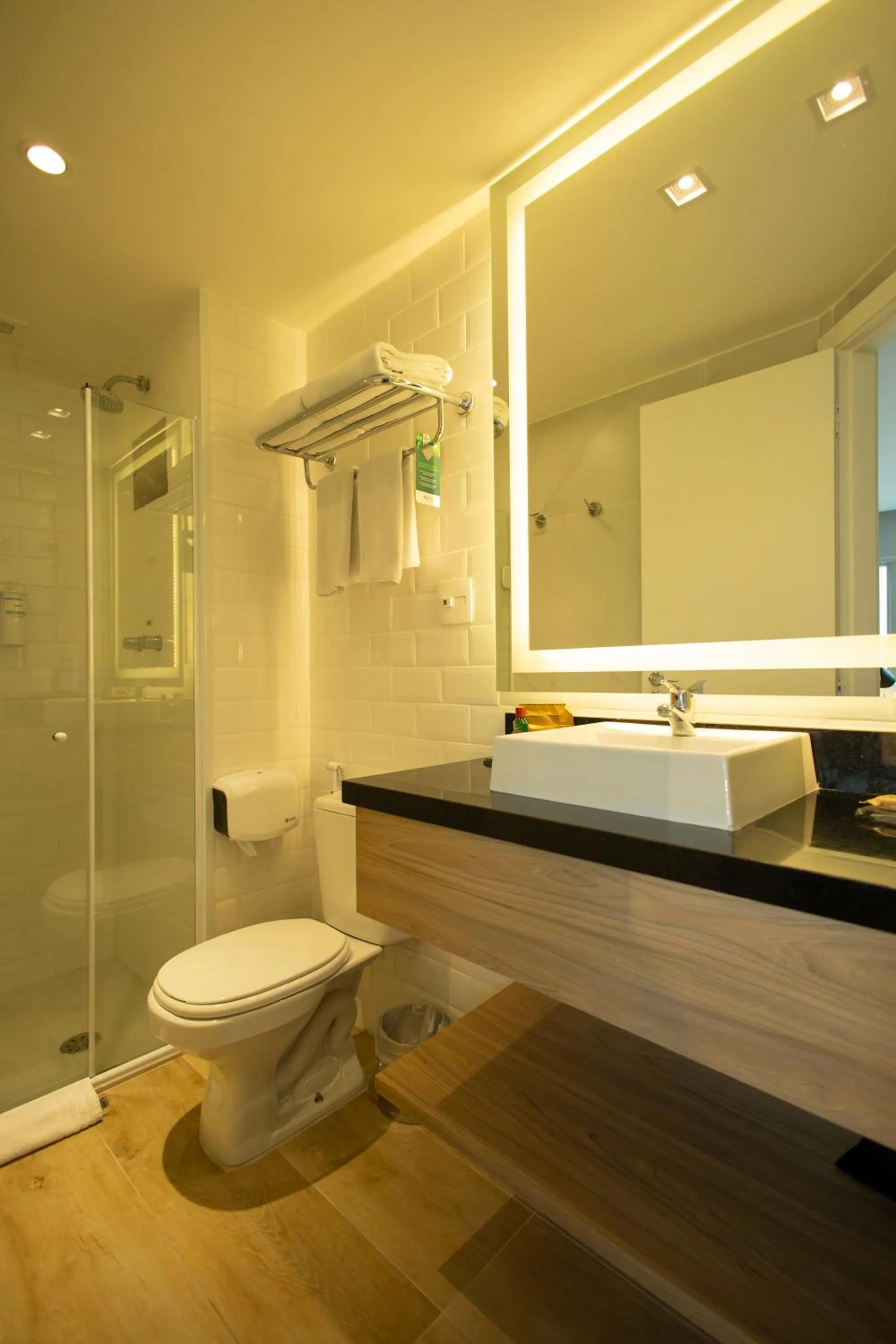 Bathroom in Radisson Vila Olimpia Sao Paulo