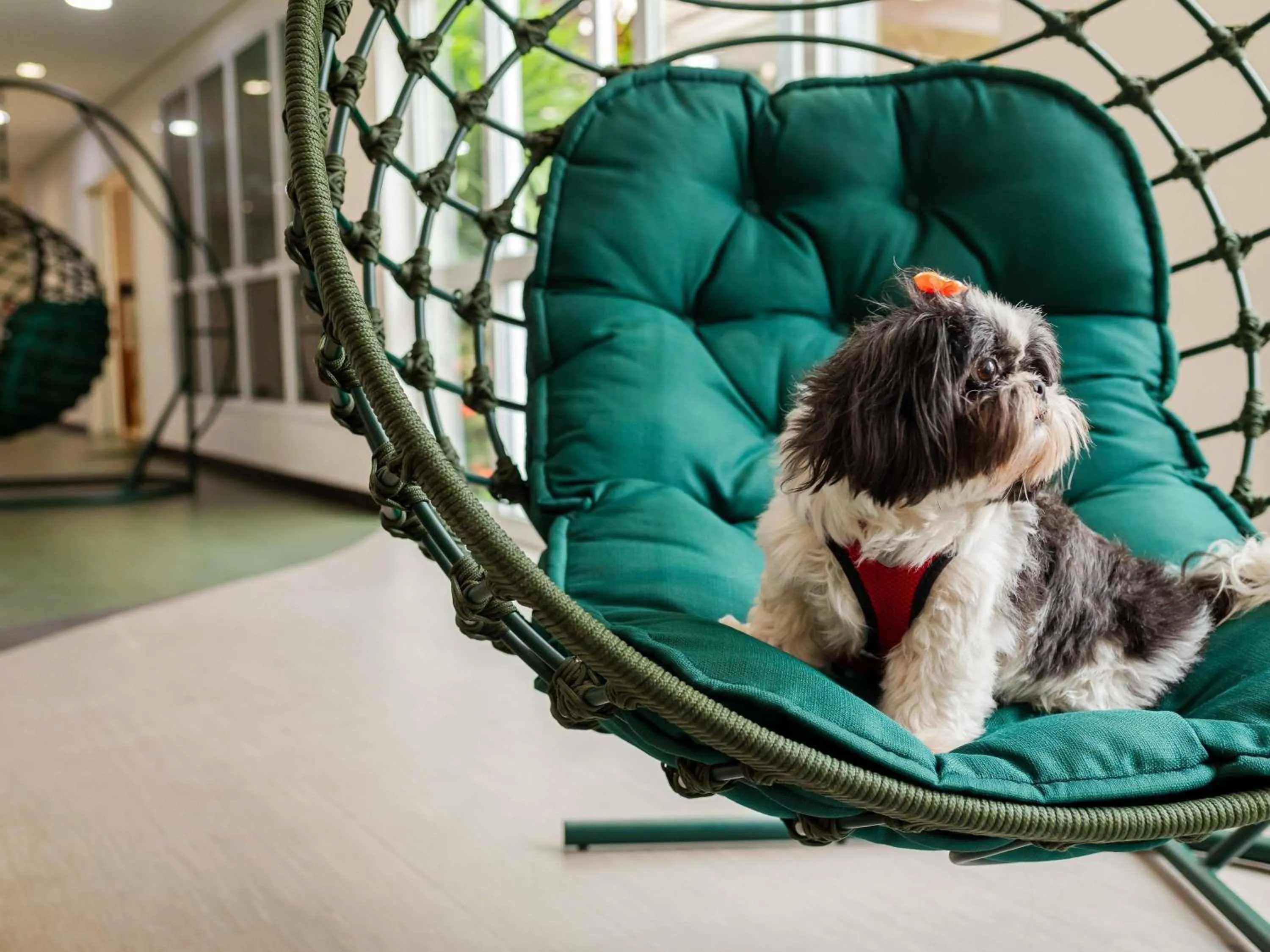 Other in Ibis Styles Campinas Alphaville