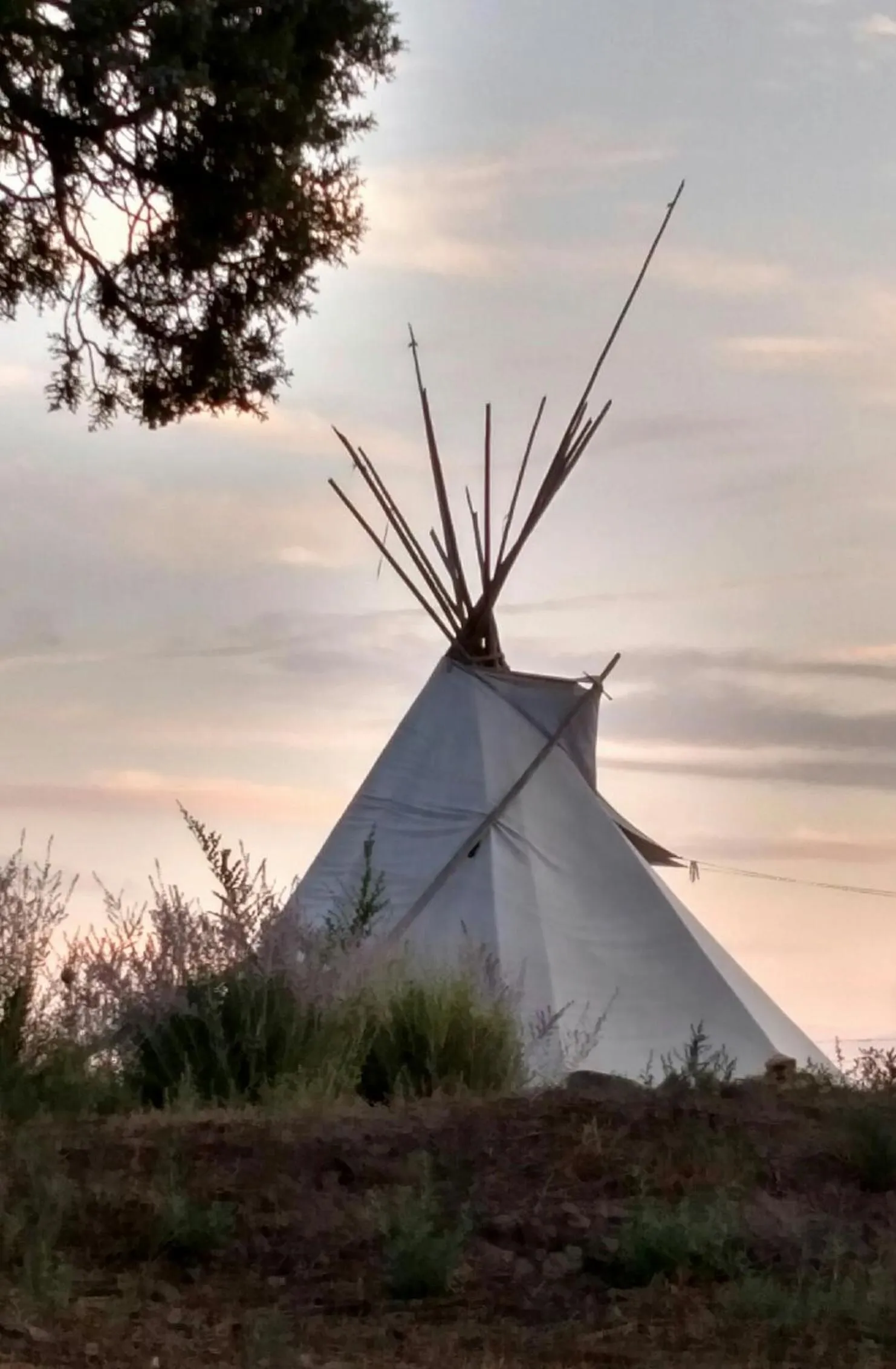 Natural landscape in Grizzly Roadhouse Bed and Breakfast