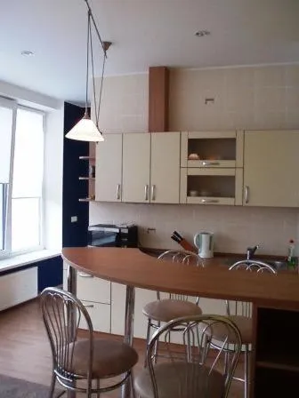 Kitchen or kitchenette in Kaunas Apartments