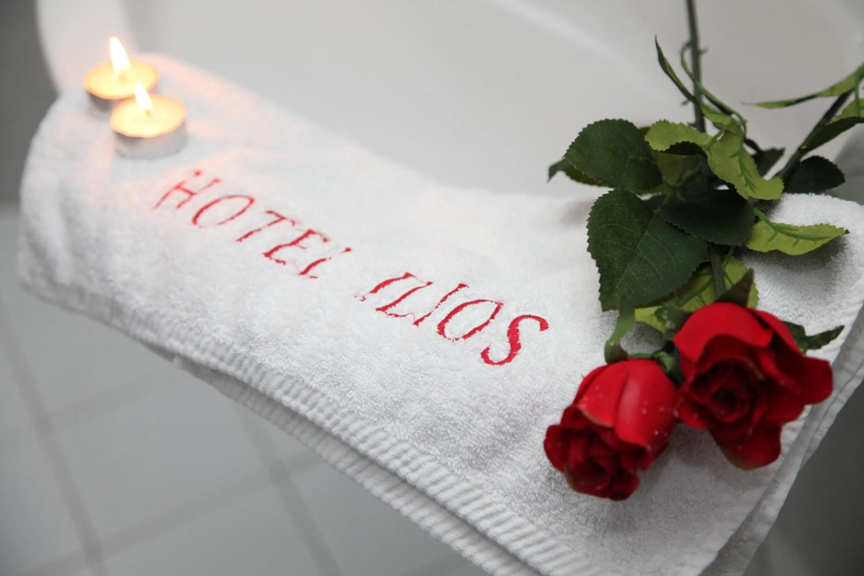 Decorative detail in Ilios