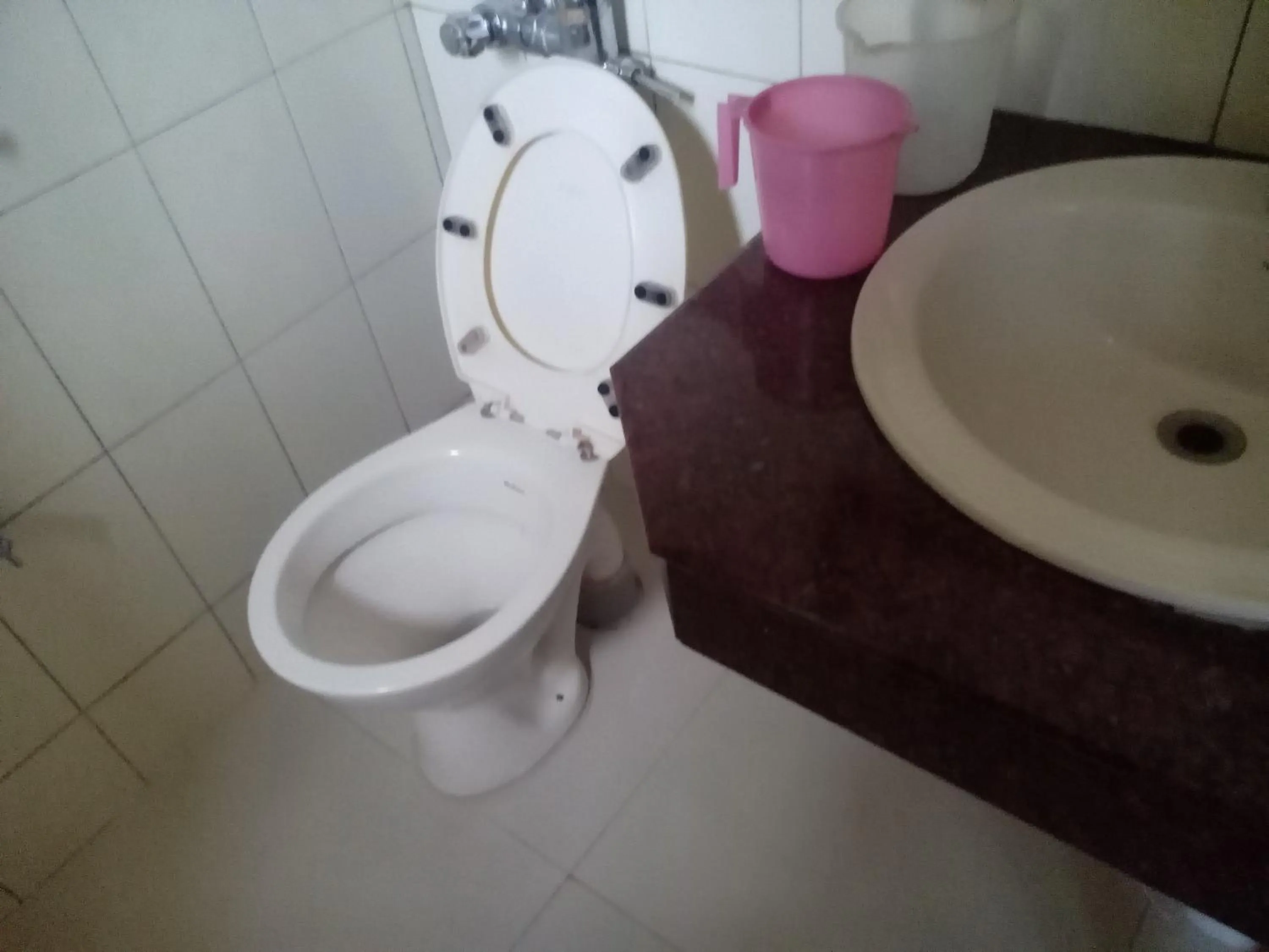 Toilet in Hotel Preethi Palace