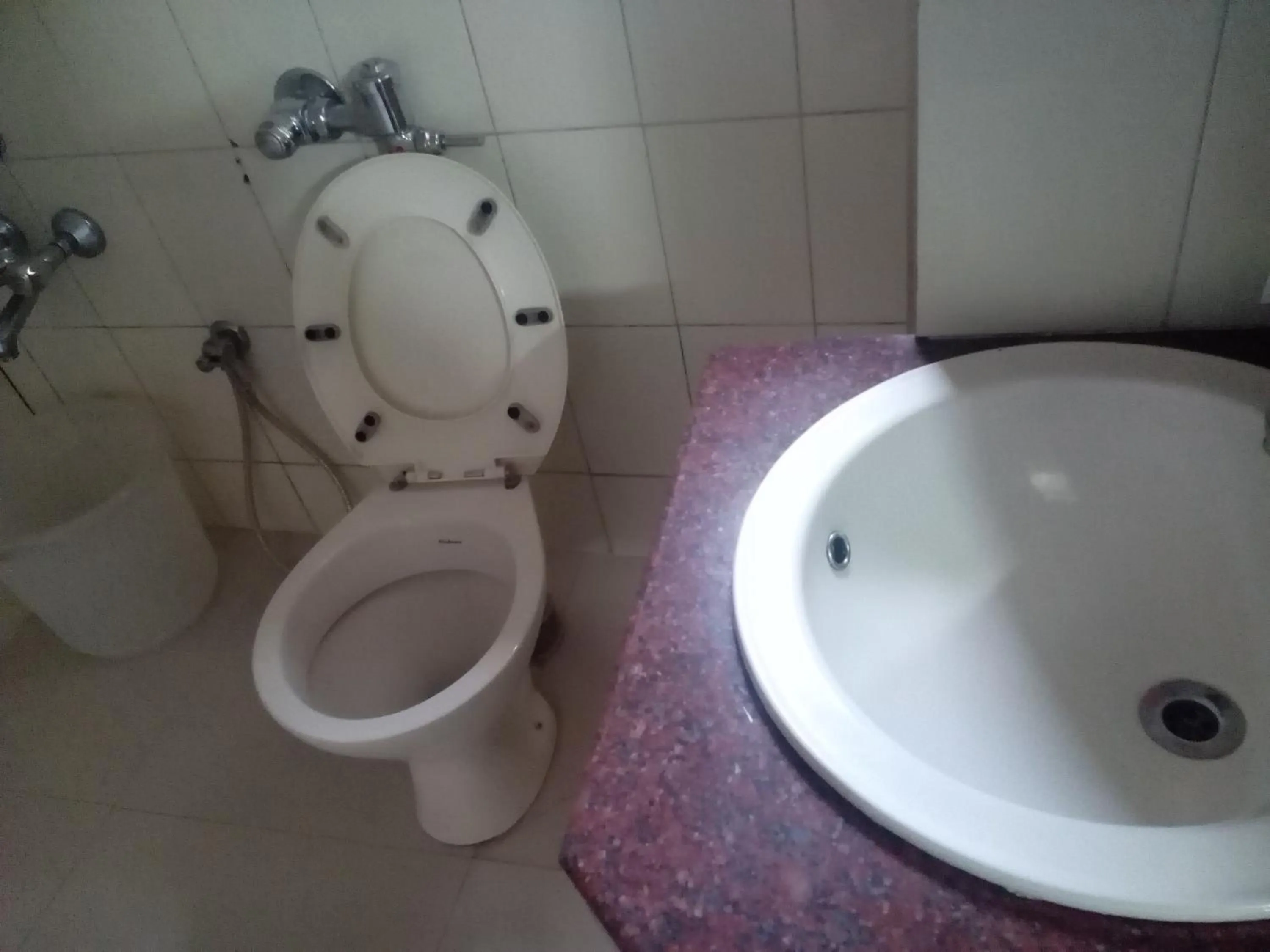 Toilet in Hotel Preethi Palace