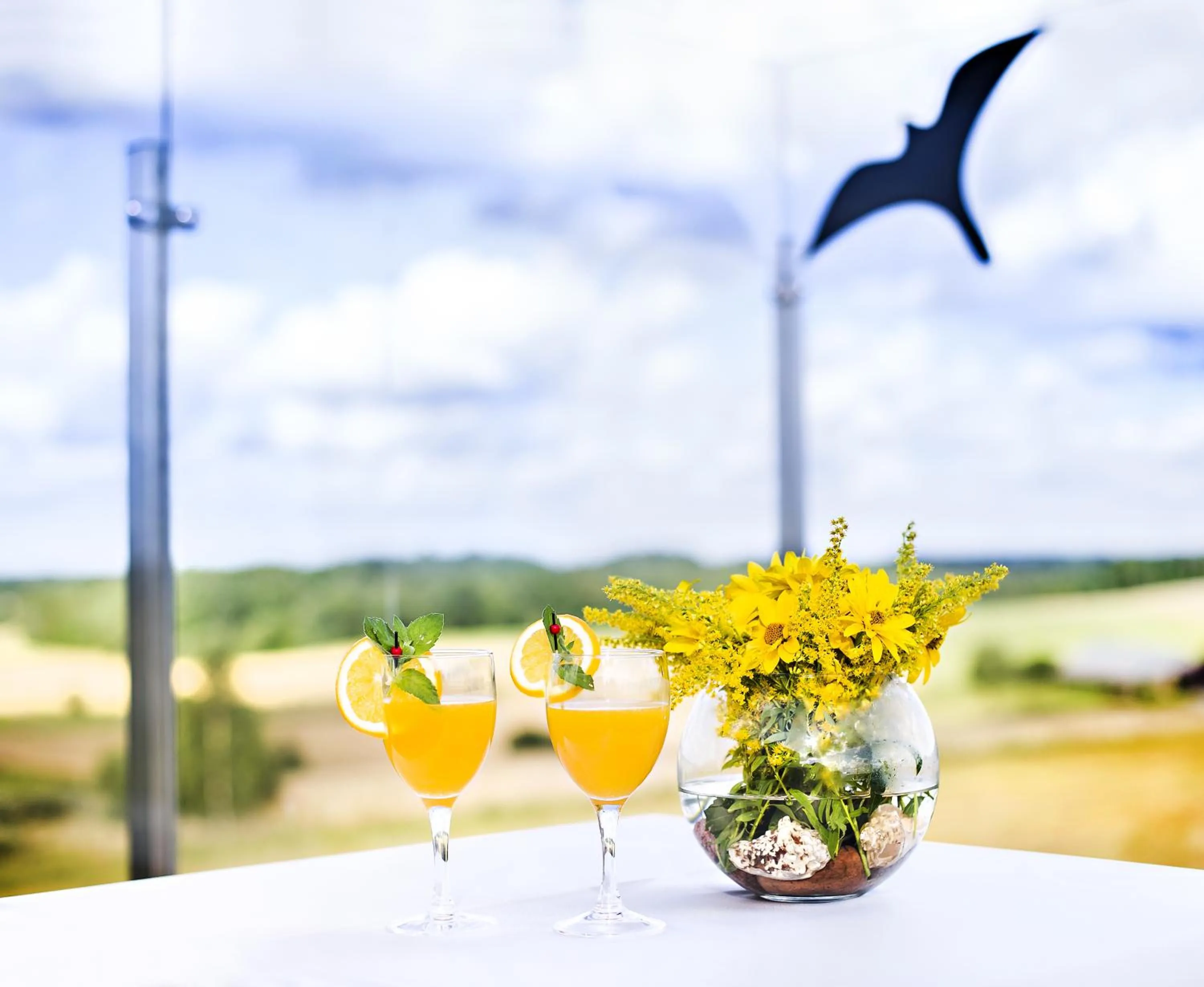 Non alcoholic drinks in Hotel Porto