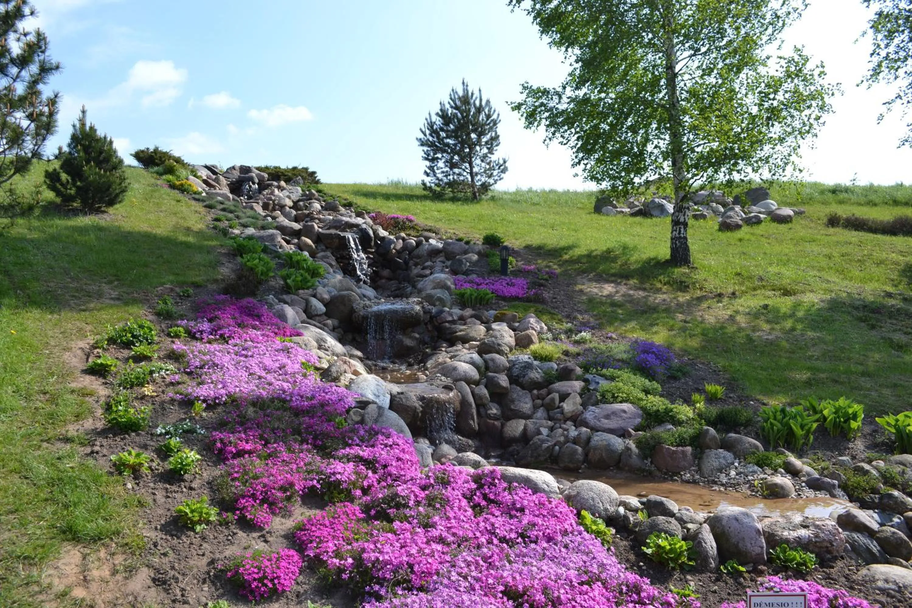 Area and facilities in Hotel Porto