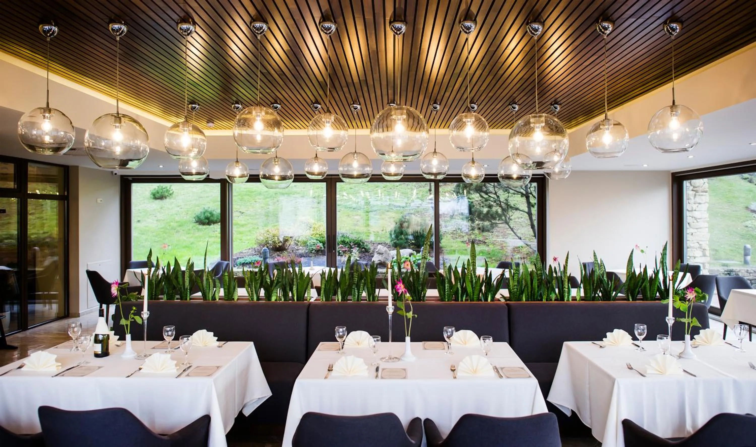 Restaurant/places to eat in Hotel Porto