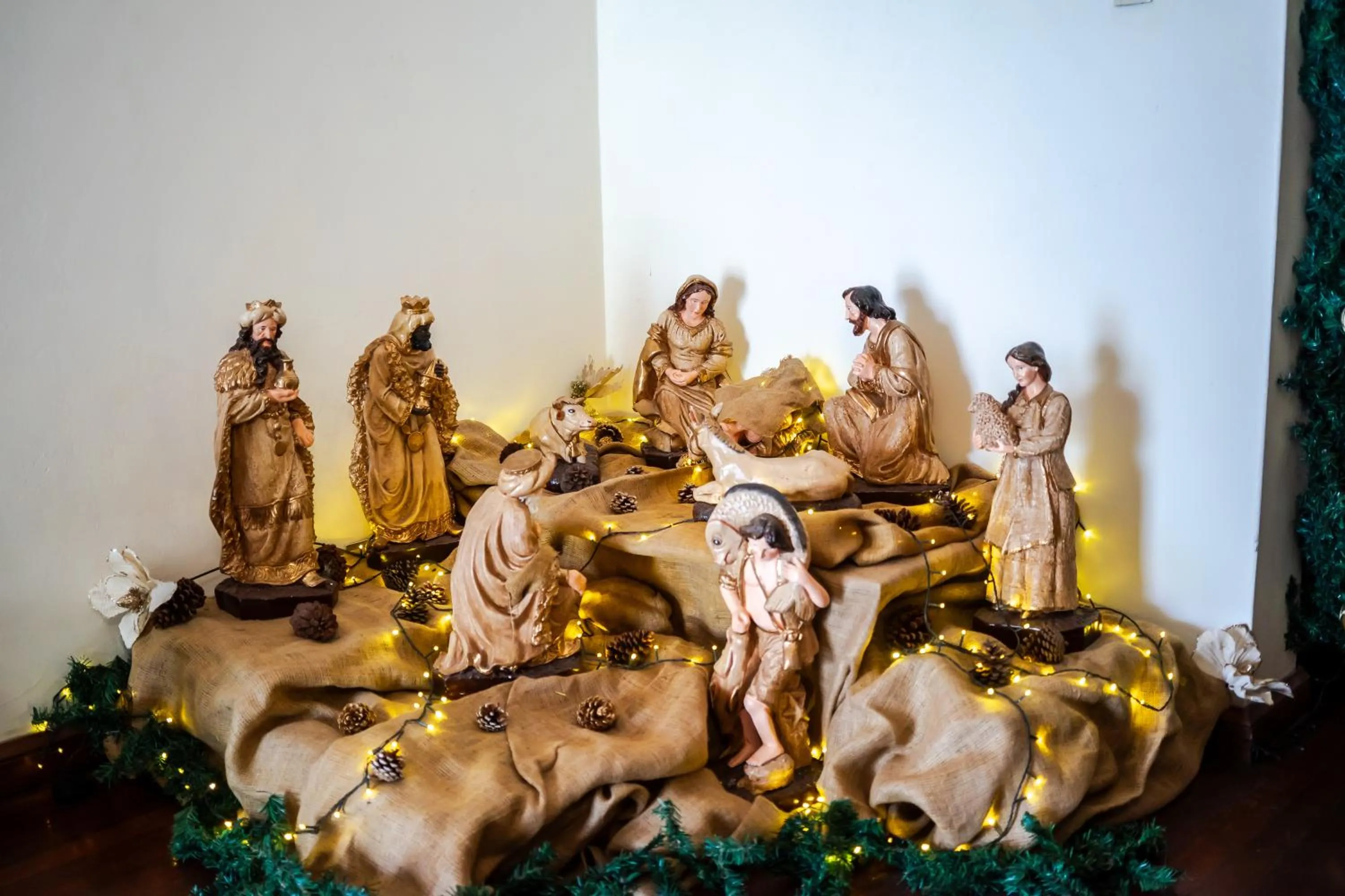 Garden in Hotel Casa Campo by Cassana