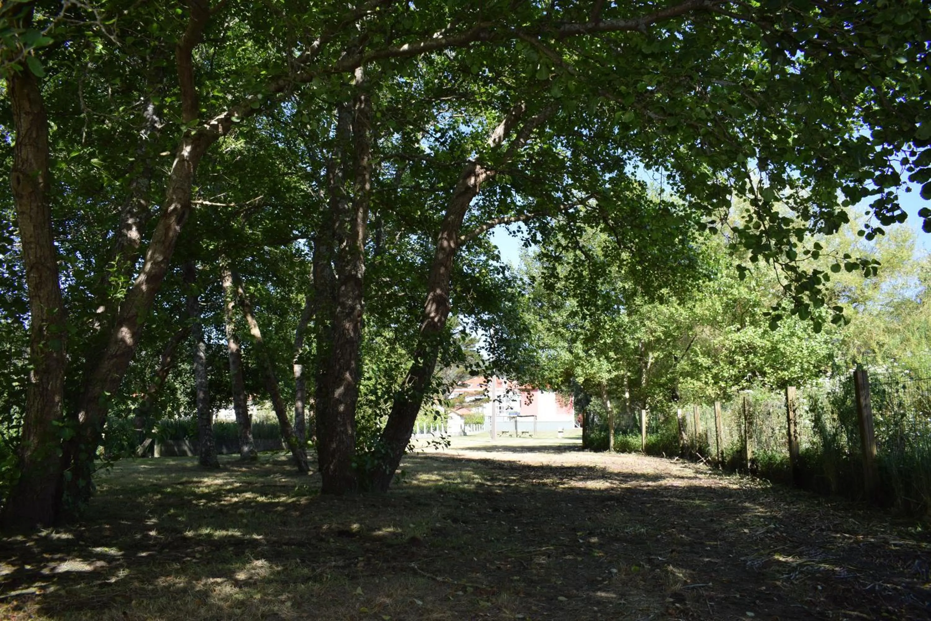 Garden in Apartamentos VIDA Finisterre