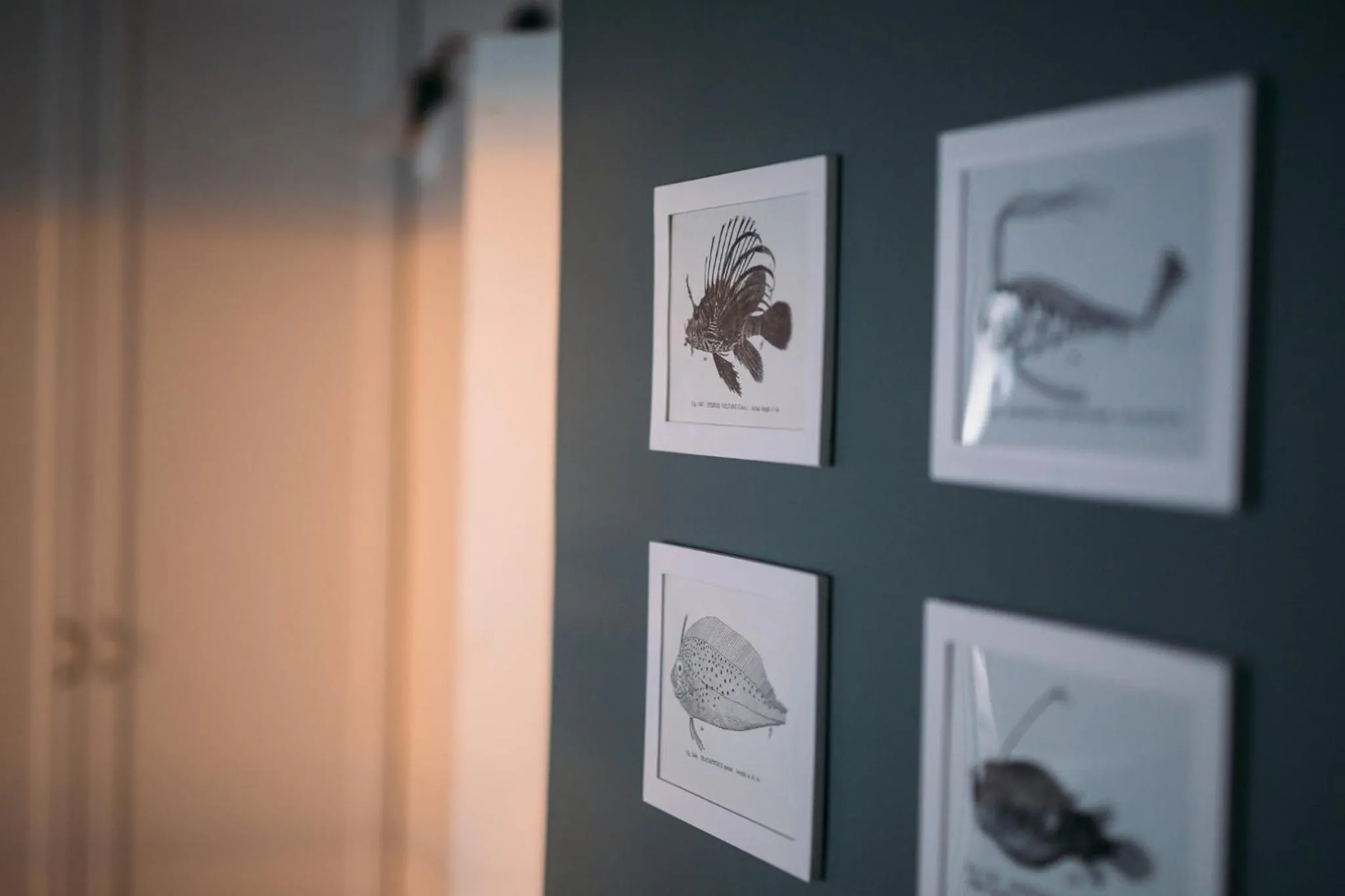 Linhof Boutique Guest House