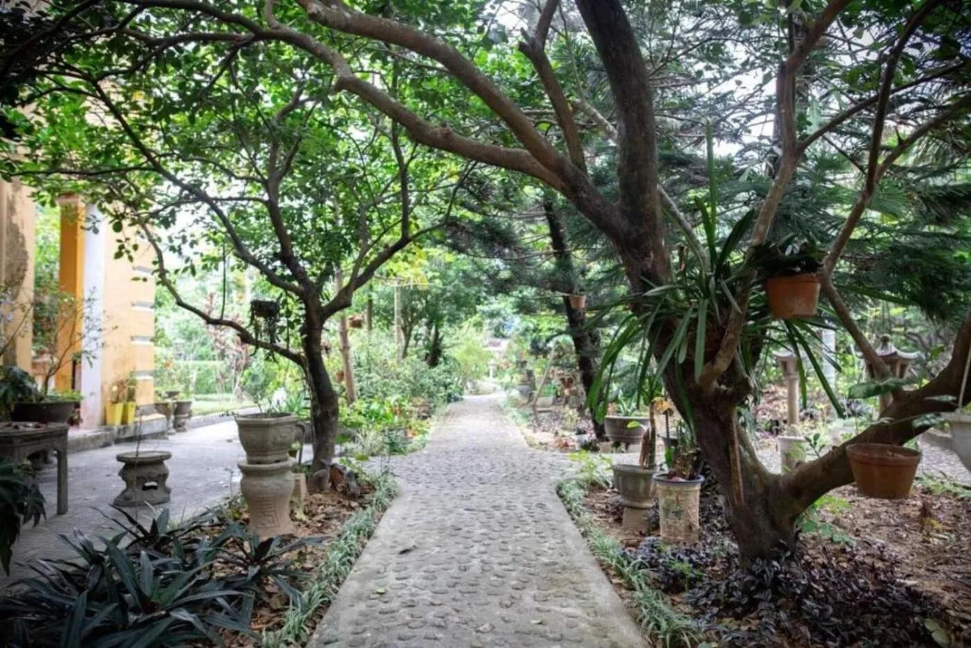 Garden in Ciel Homestay