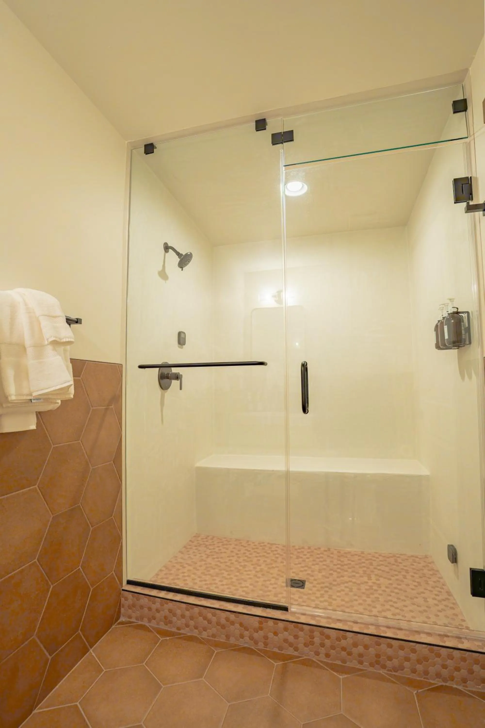Shower in Petty Ranch Inn