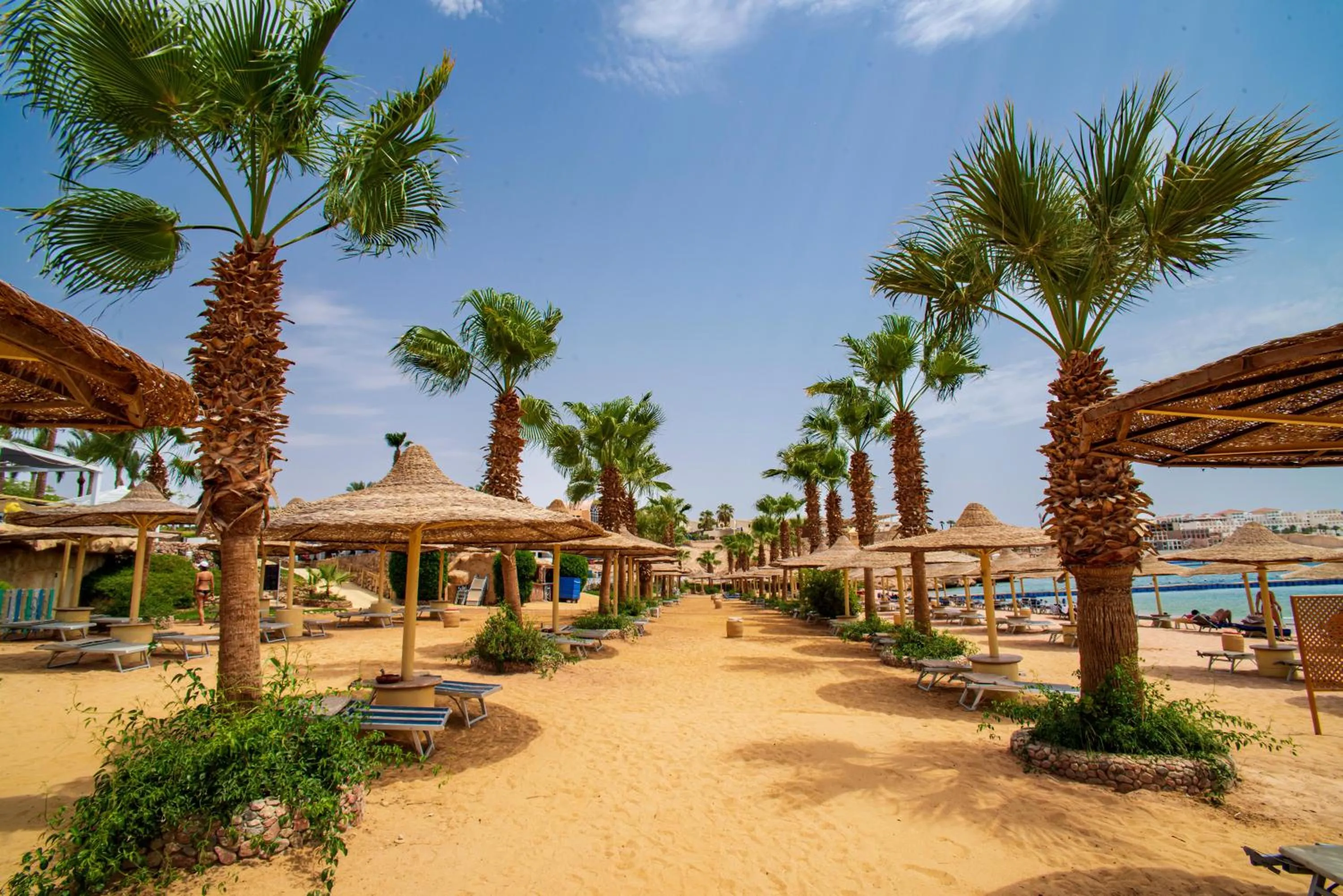Beach in Sierra Sharm El Sheikh