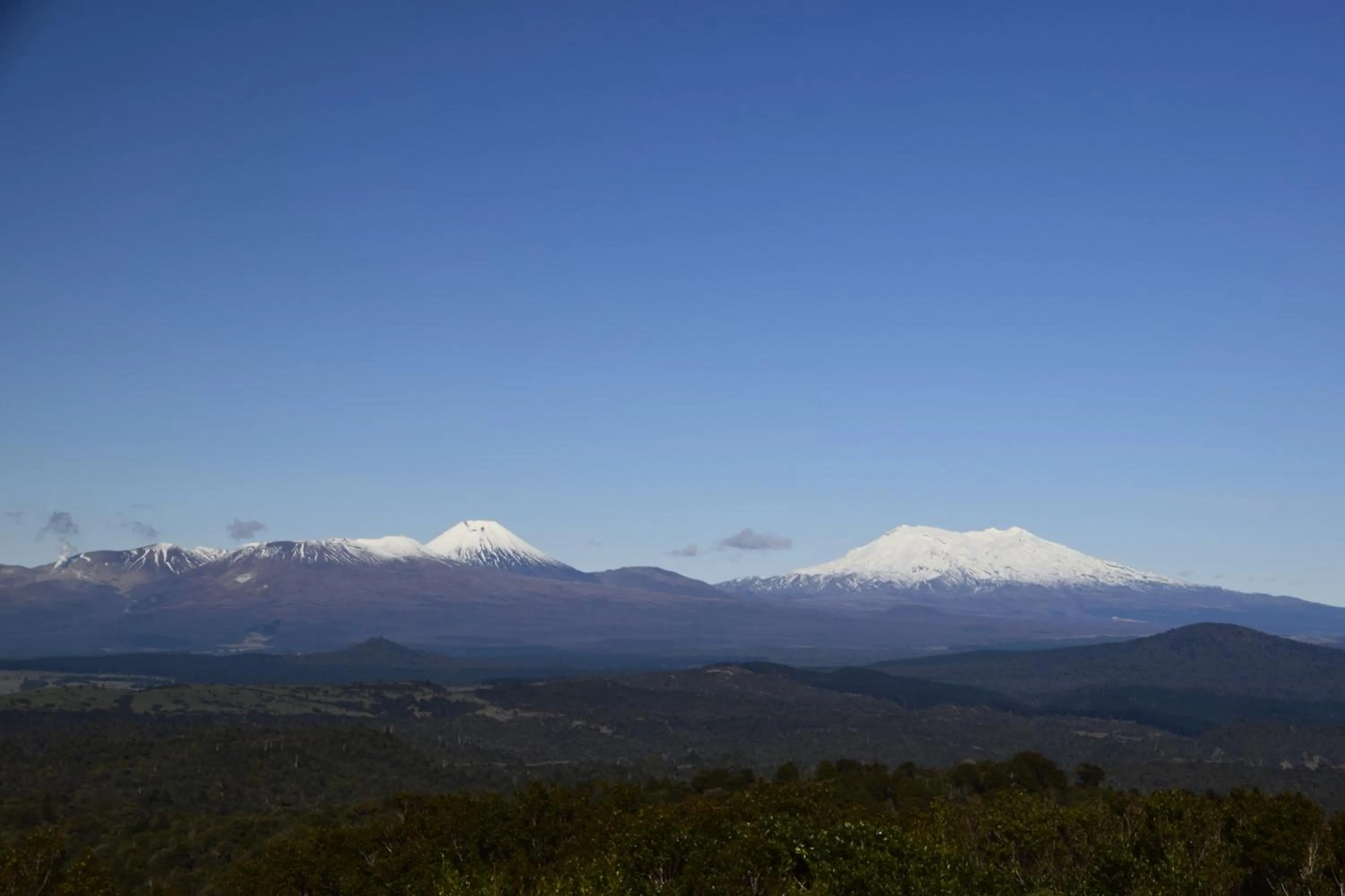 Area and facilities in Judges Pool Motel Turangi