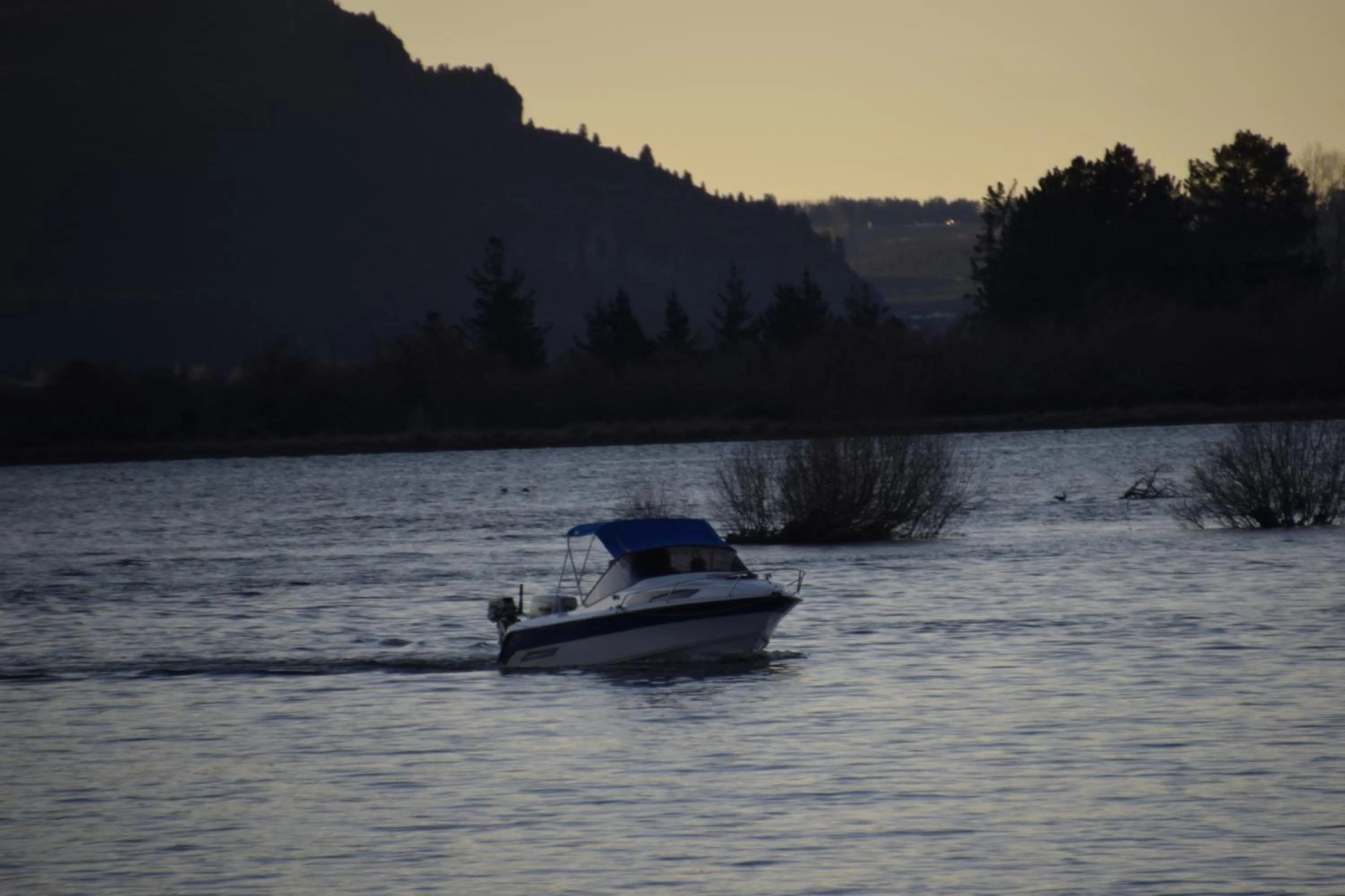 Fishing in Judges Pool Motel Turangi