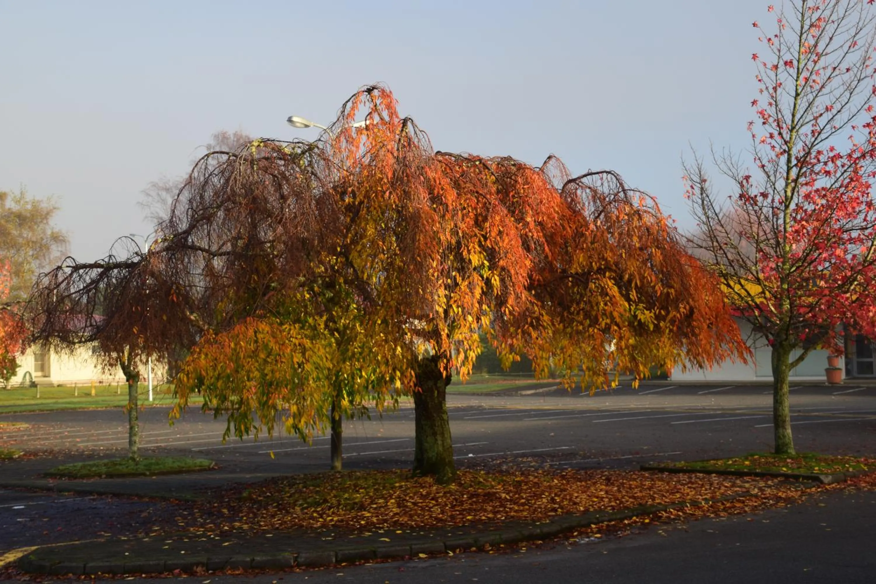 Area and facilities in Judges Pool Motel Turangi