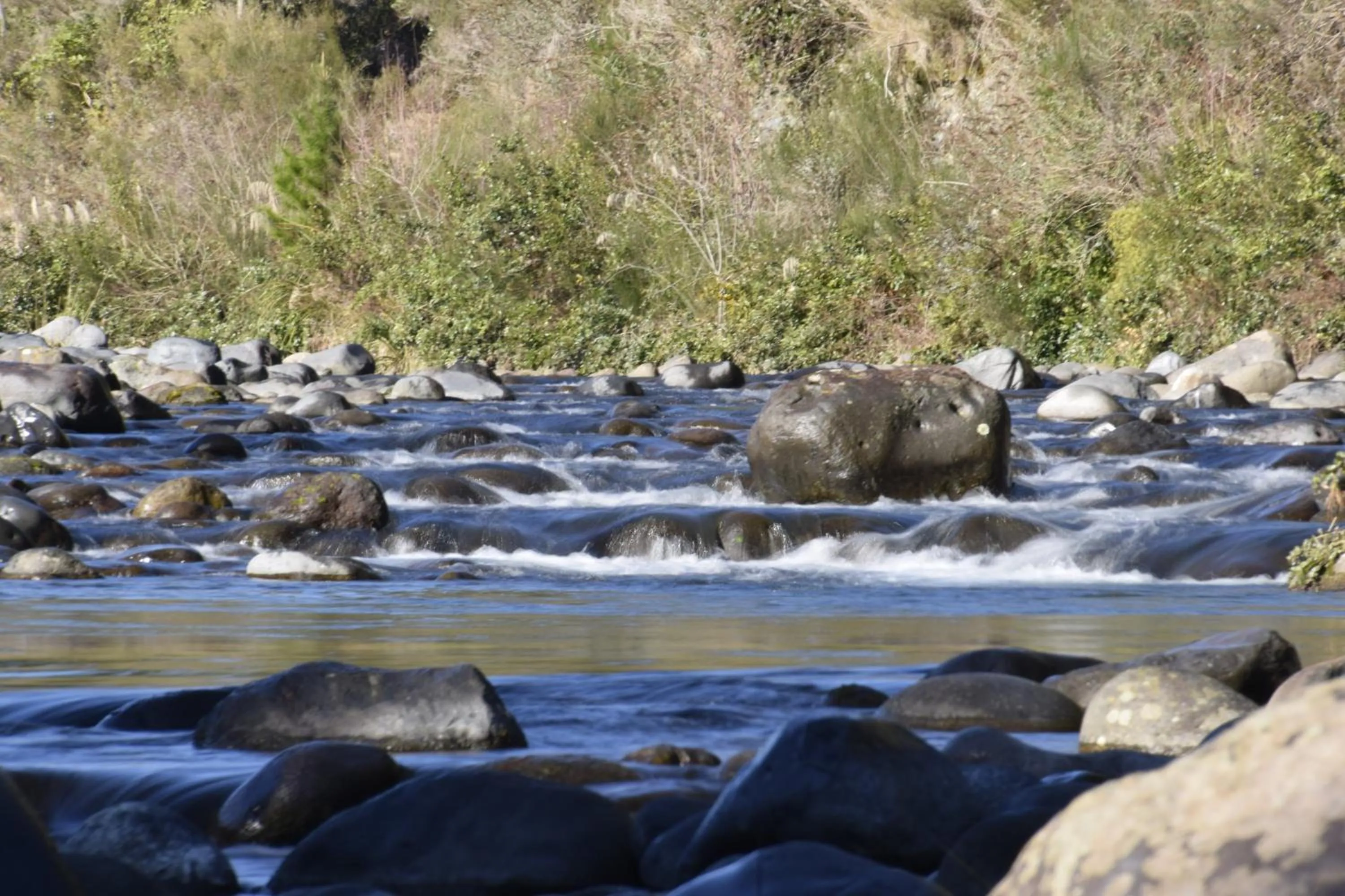 Area and facilities in Judges Pool Motel Turangi