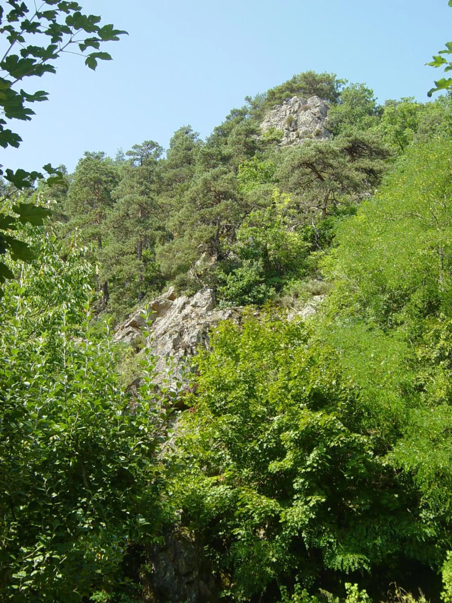 Natural landscape in ADONIS CHAMBRES D'HOTES