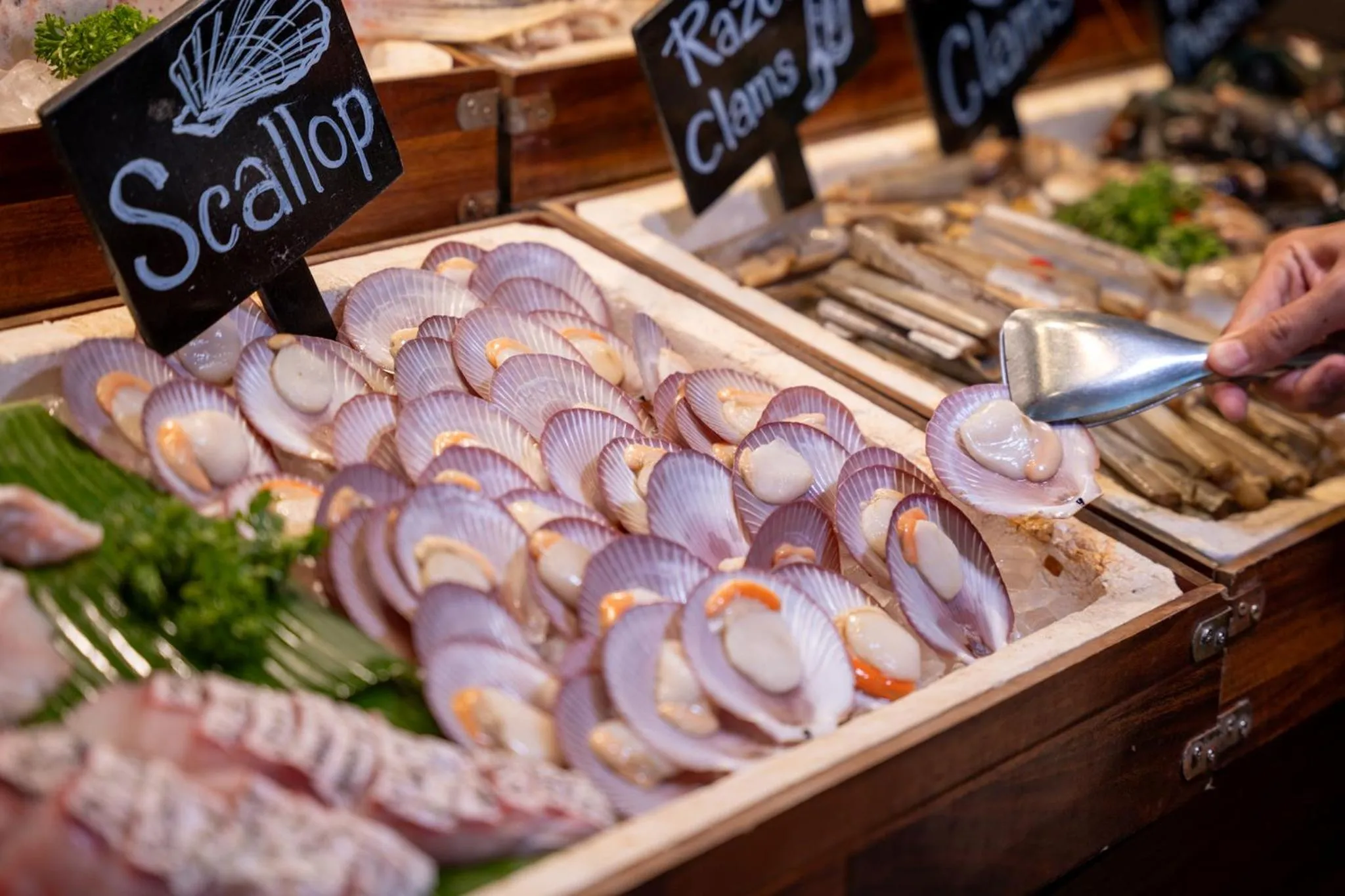 Dinner in Four Points by Sheraton Bangkok Ploenchit Sukhumvit