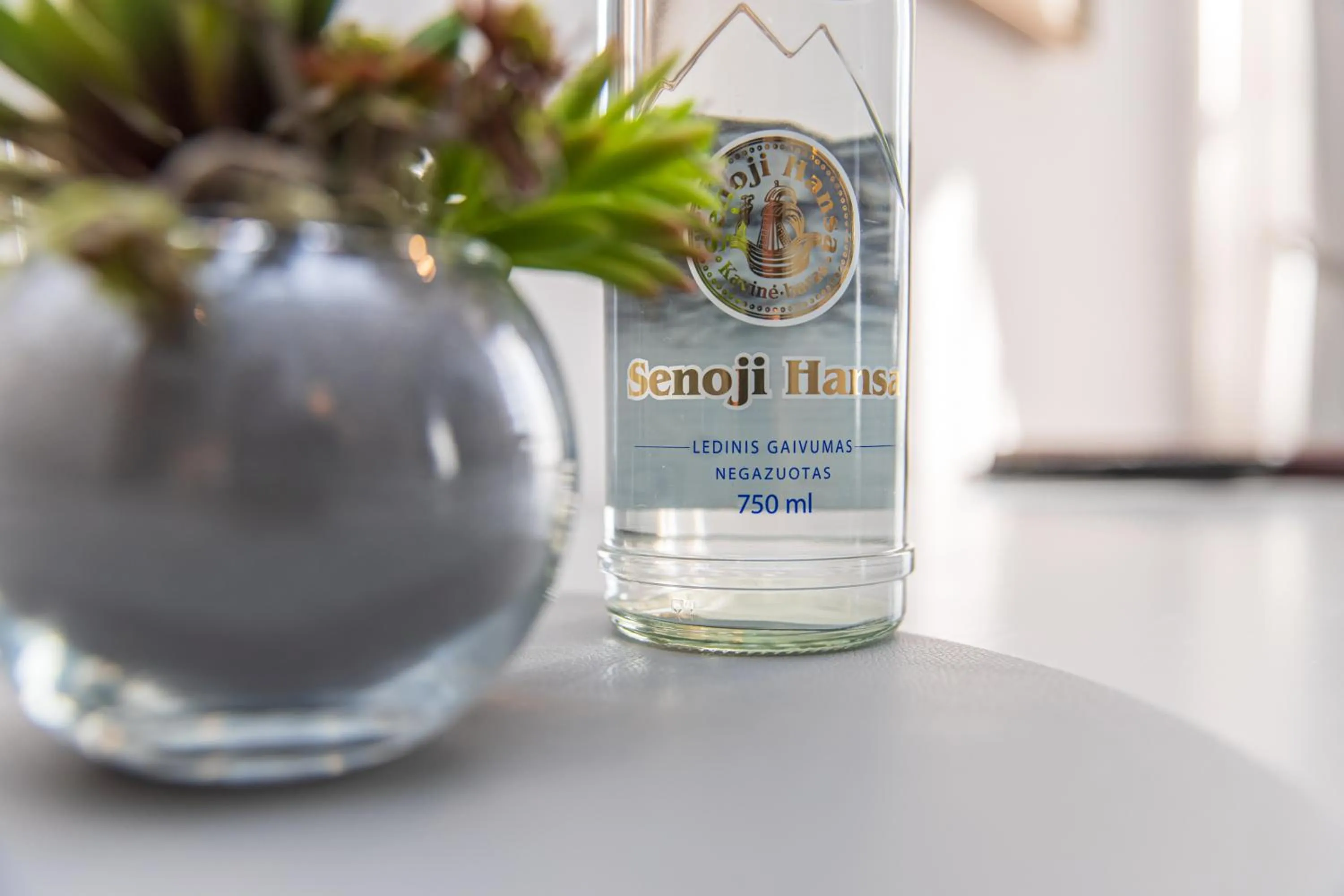 Lobby or reception in Senoji Hansa Hotel