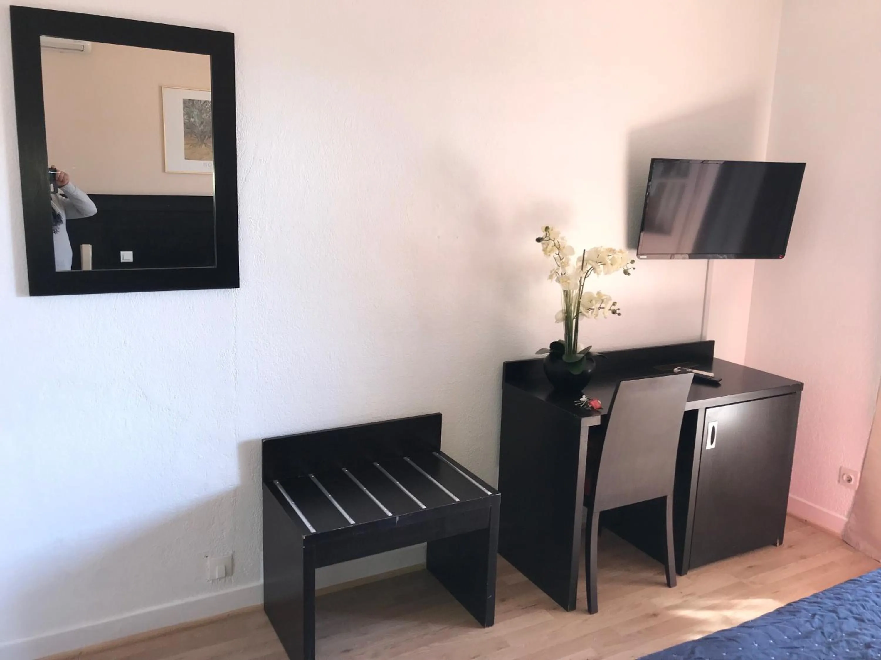 TV and multimedia in Hotel Aurelia