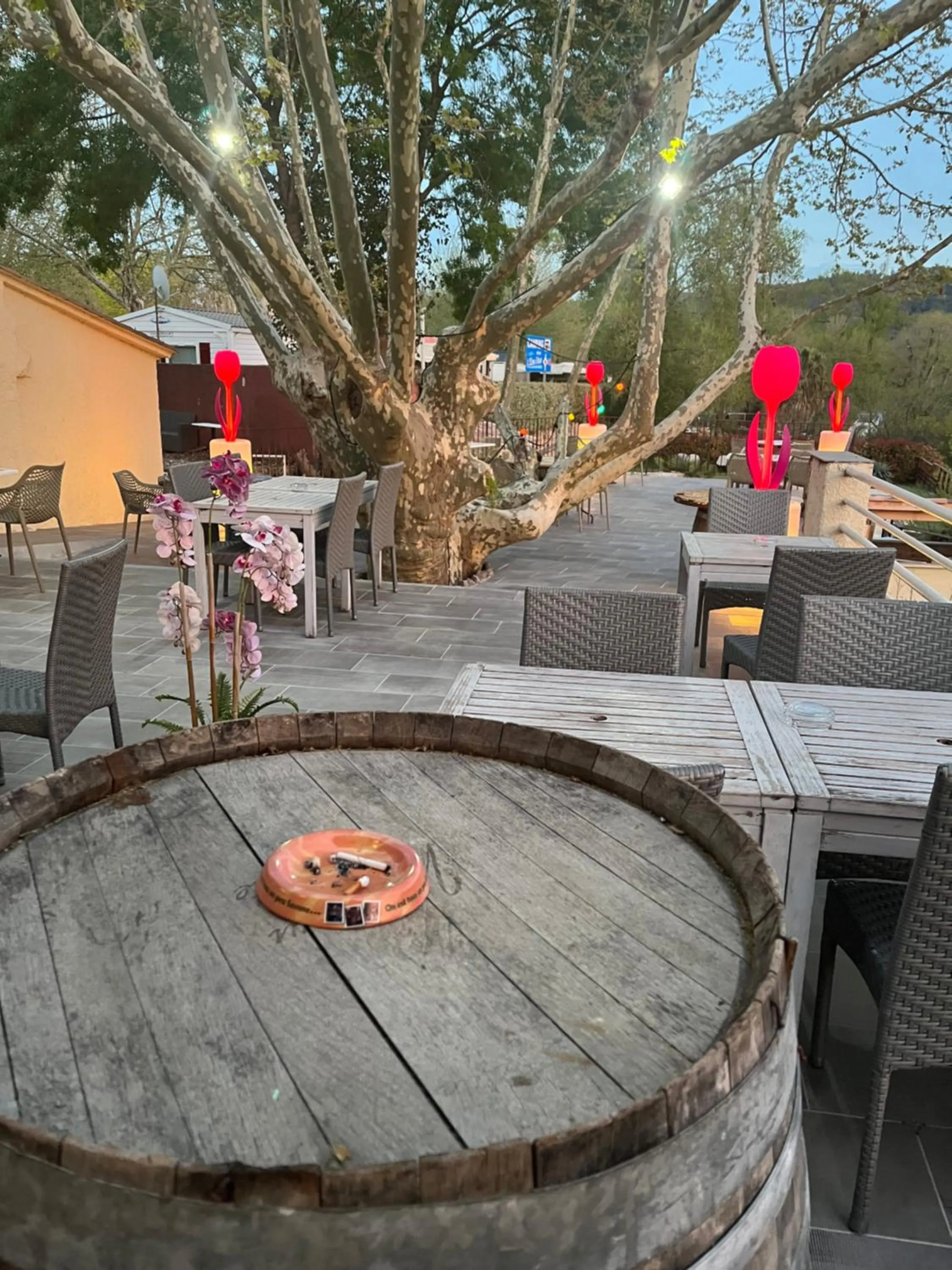 Restaurant/places to eat in Hotel Aurelia